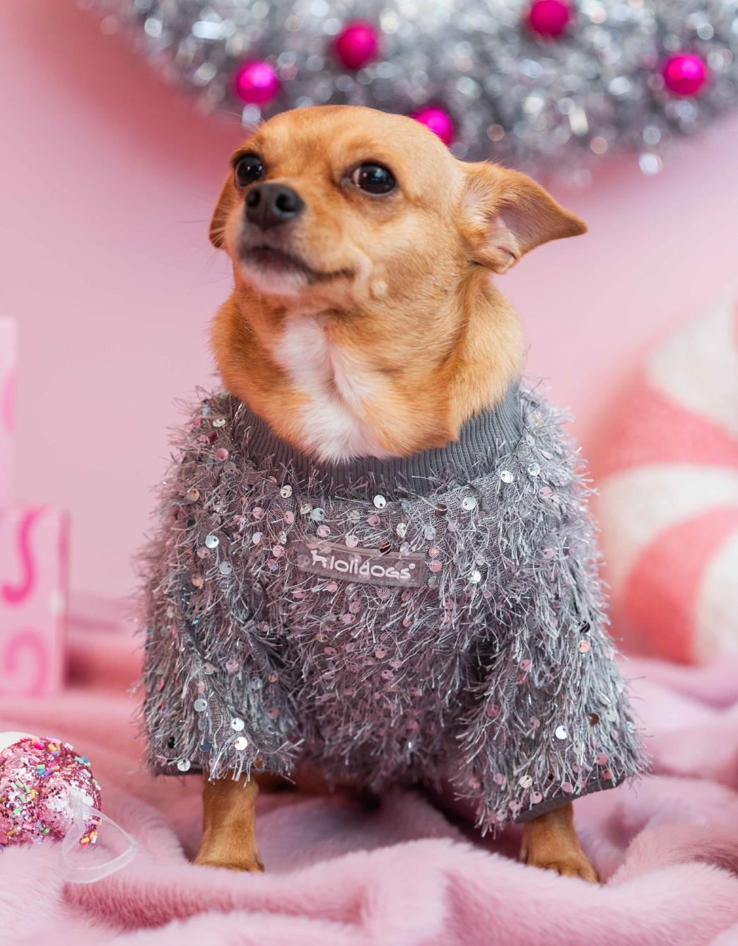Lolidogs Köpek Tshirt | Disco