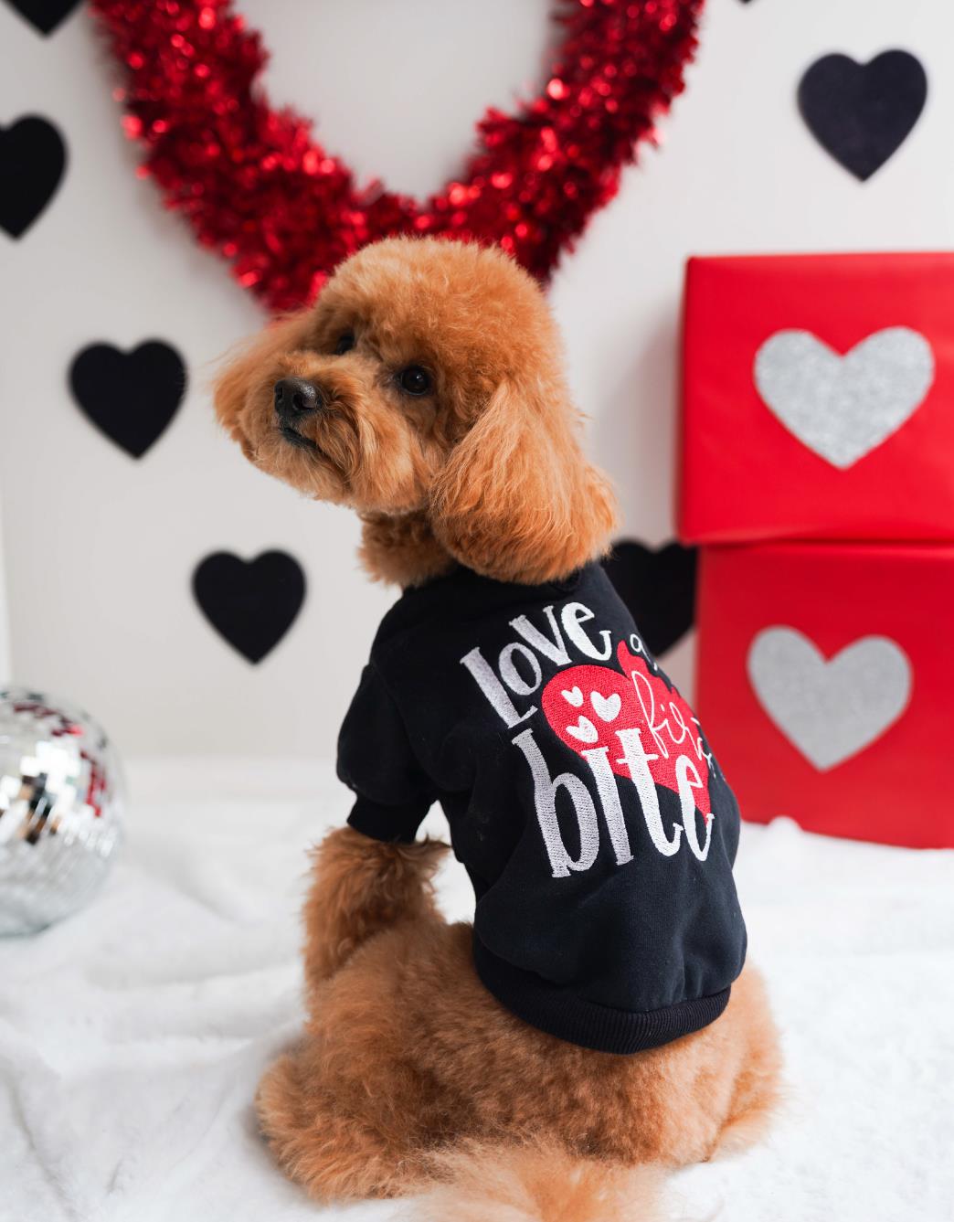 Lolidogs Love at First Bite Nakışlı Köpek Sweatshirtü