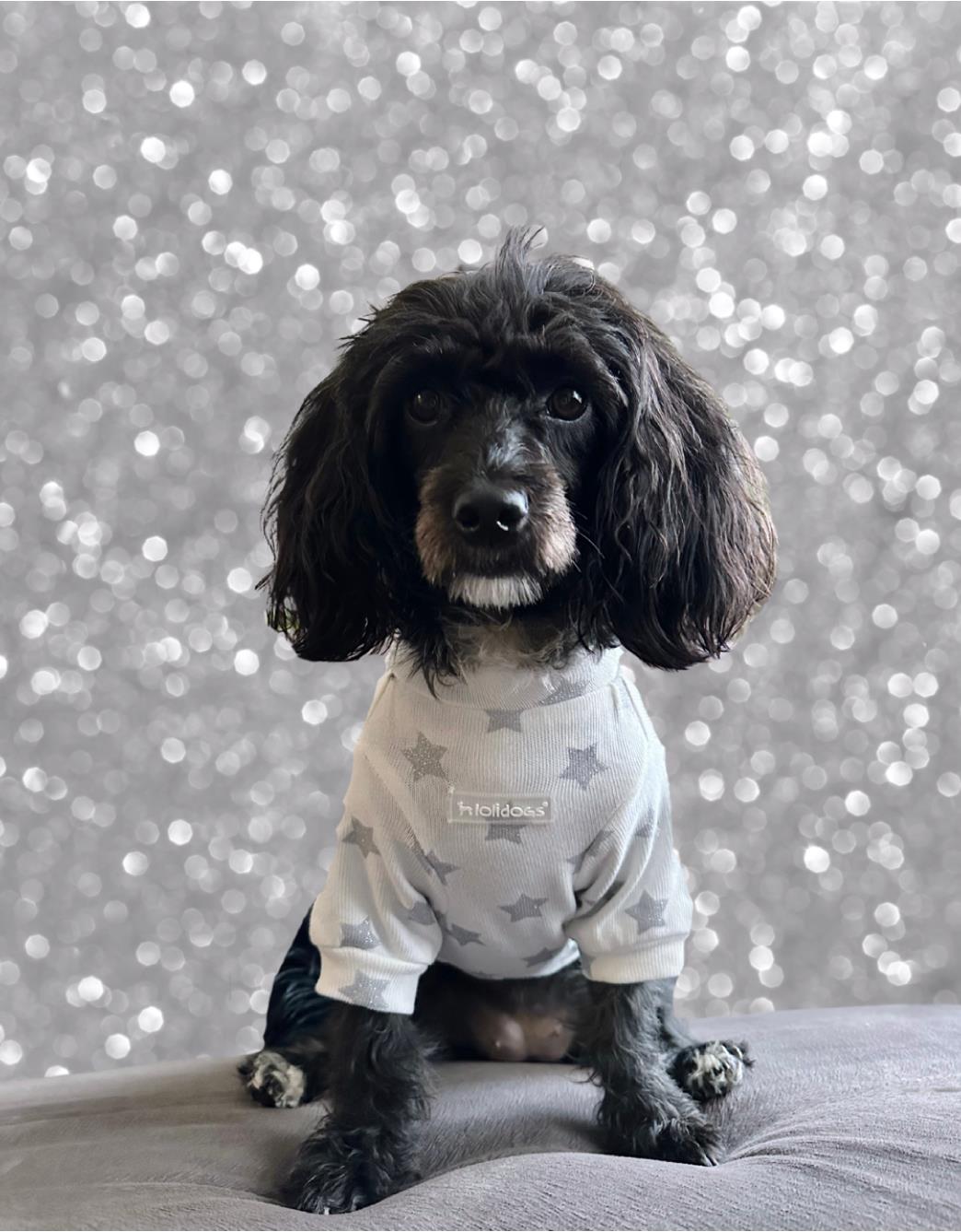 Lolidogs Silver Star Köpek Triko