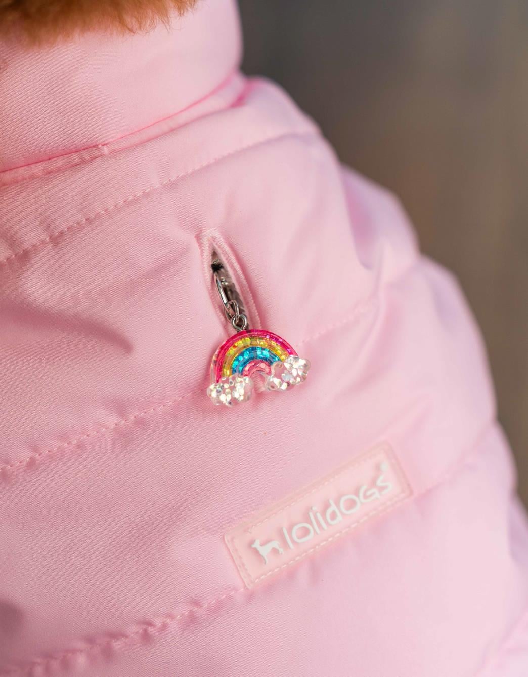 Lolidogs Köpek Tasma Aksesuarı Rainbow