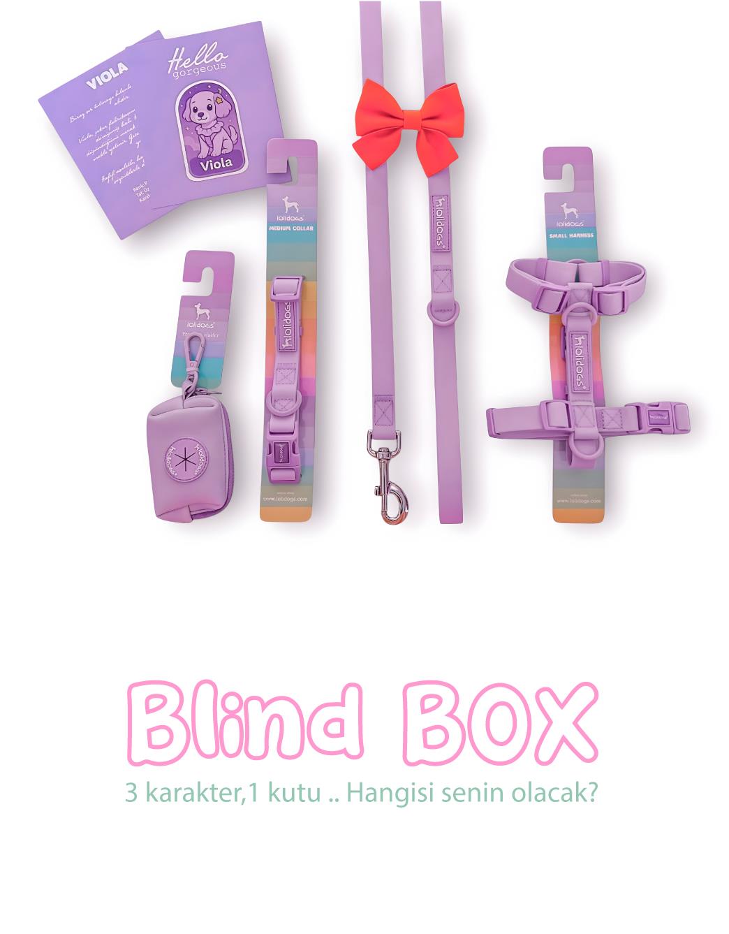 Lolidogs Jelly Dream Collection - Blind Box