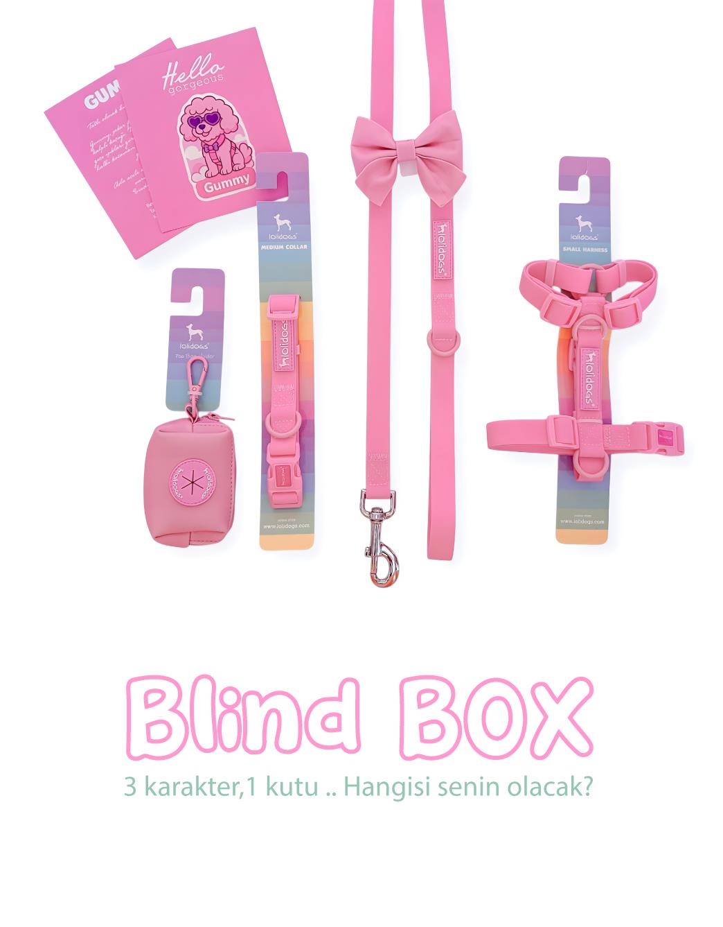 Lolidogs Jelly Dream Collection - Blind Box