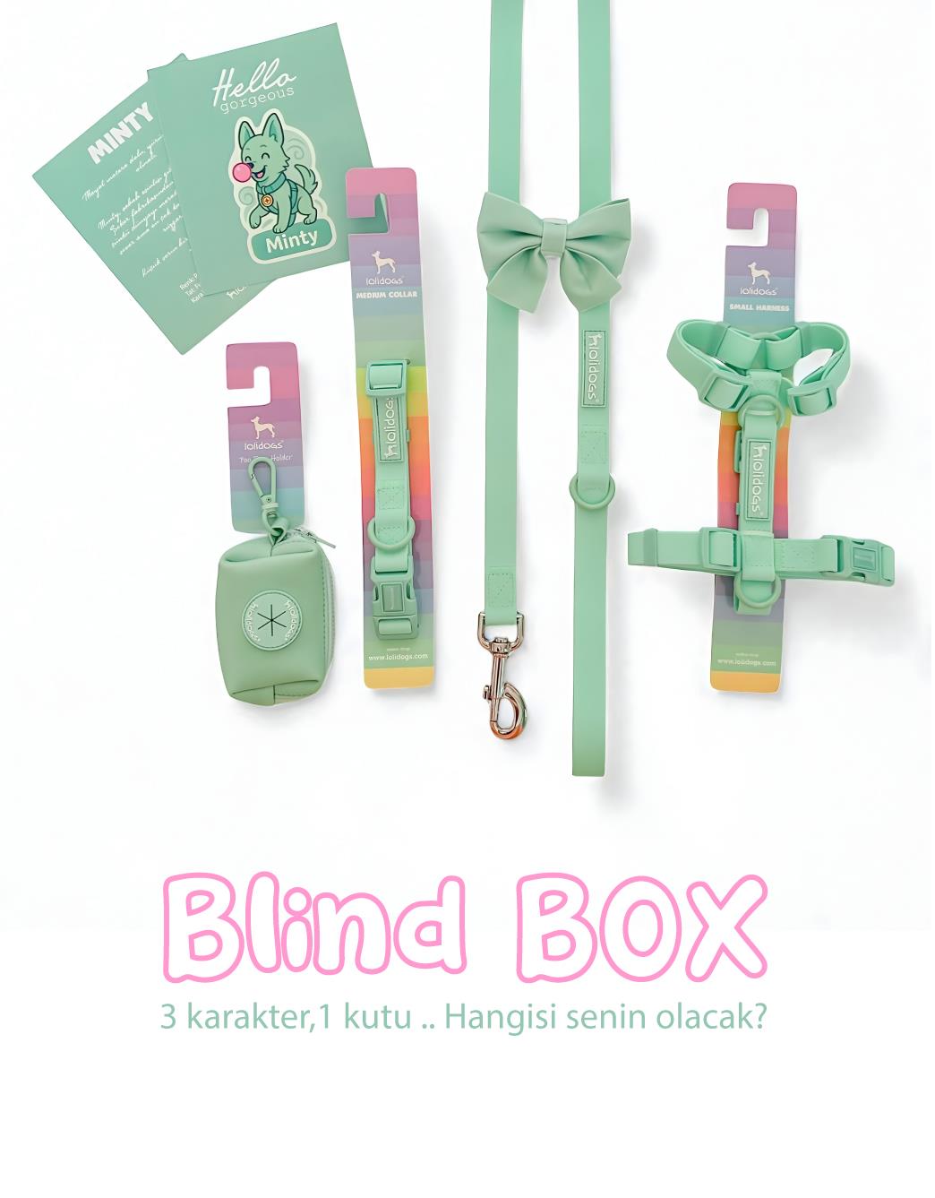 Lolidogs Jelly Dream Collection - Blind Box