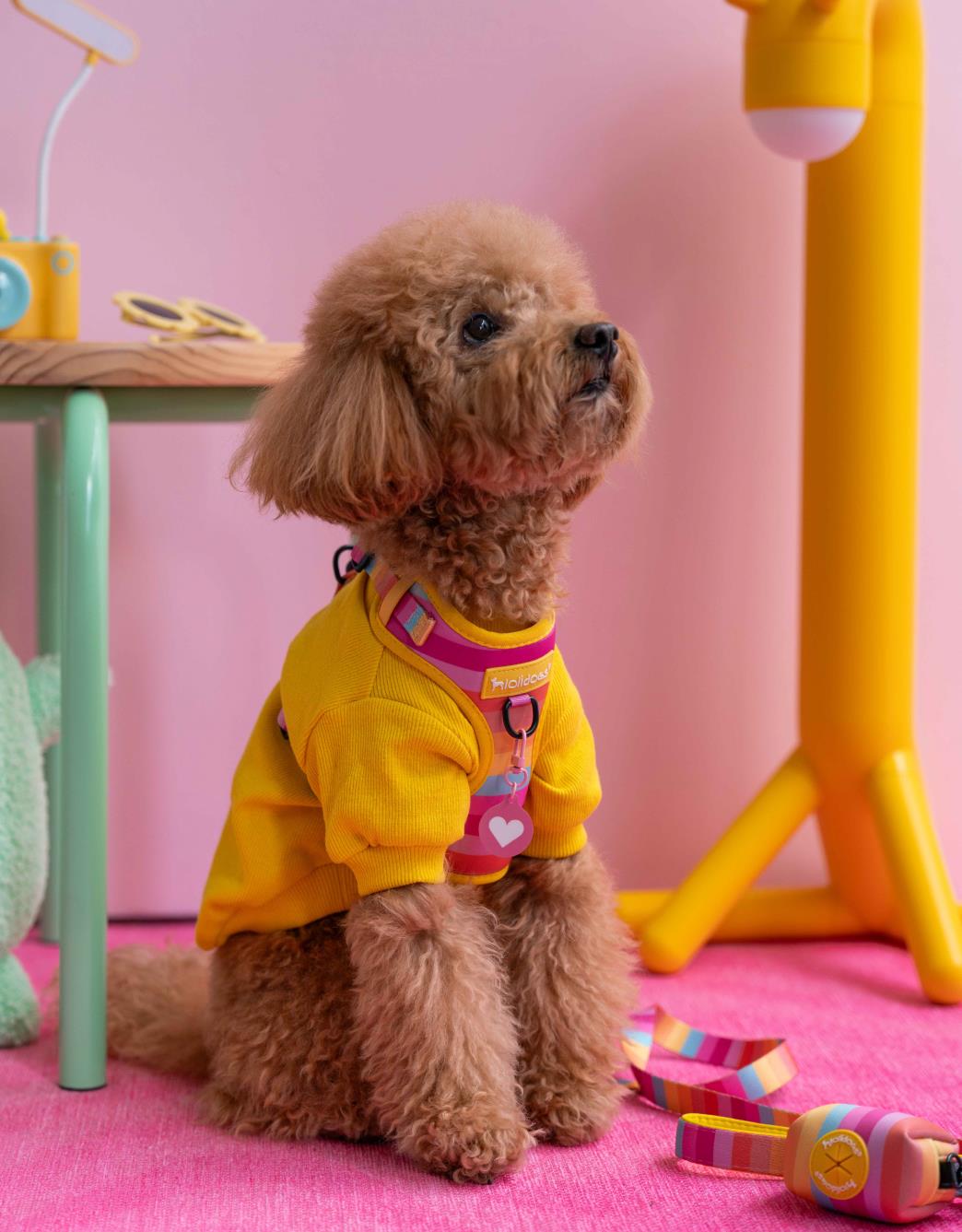 Lolidogs Köpek Göğüs Tasması ve Kayış Seti | Rainbow