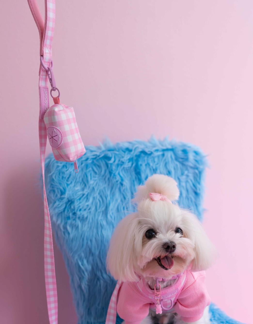 Lolidogs Poop Bag | Picnic