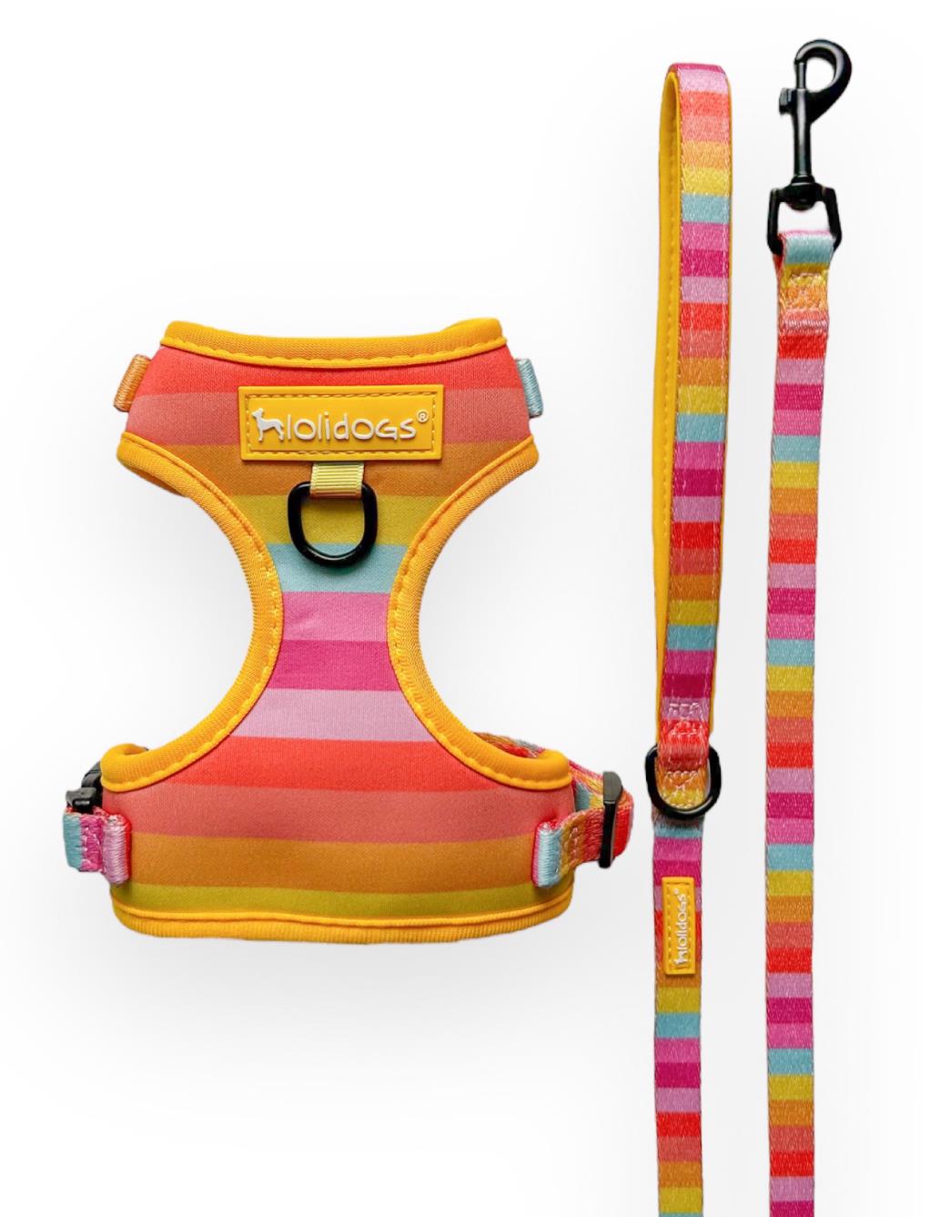 Lolidogs Rainbow Harness Set