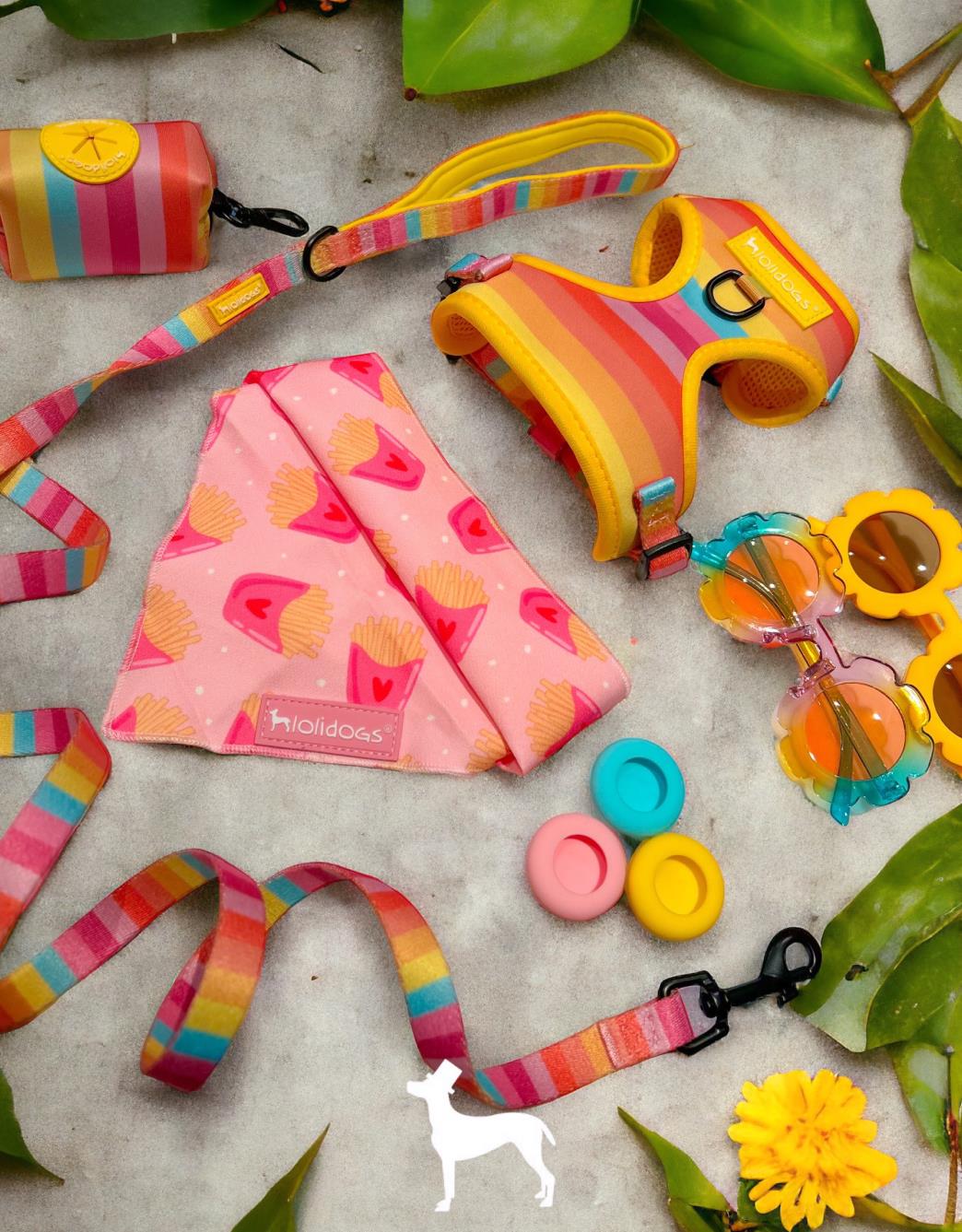 Lolidogs Rainbow Harness Set