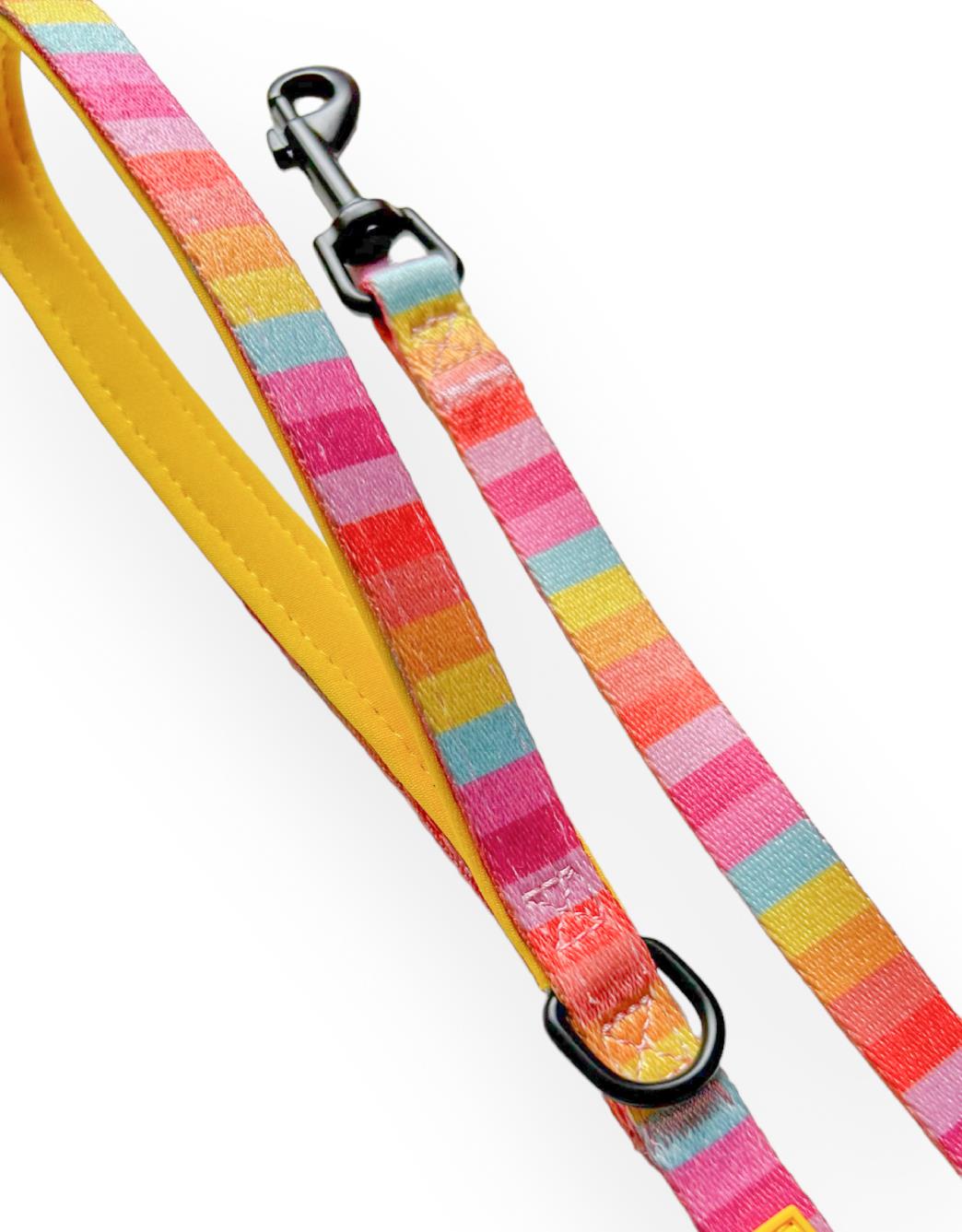 Lolidogs Rainbow Harness Set