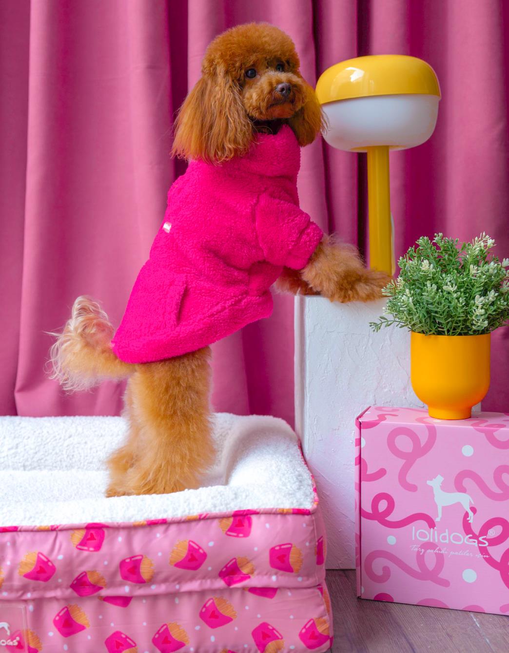 Lolidogs Köpek Bomber Ceket | Fuchsia