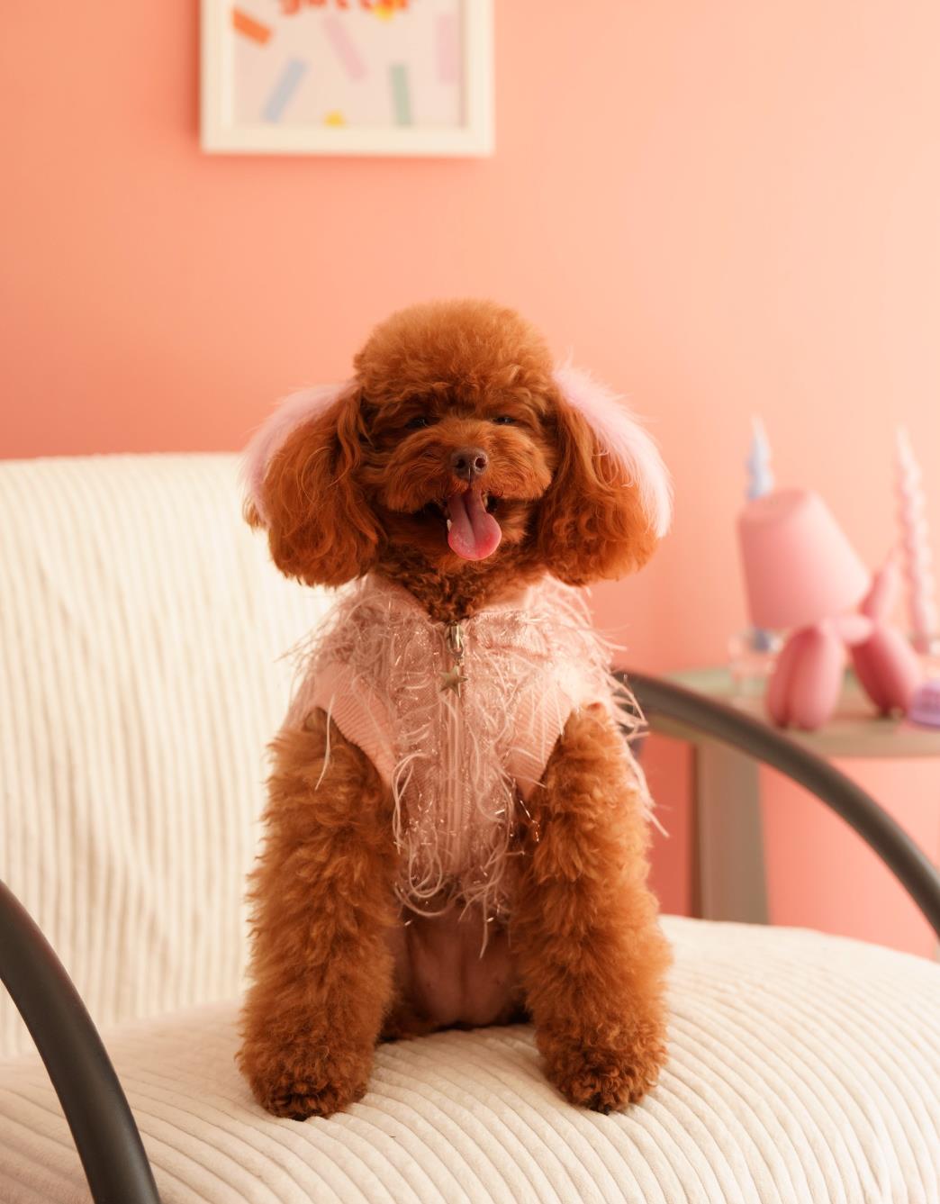 Lolidogs Köpek Ceketi | Rose