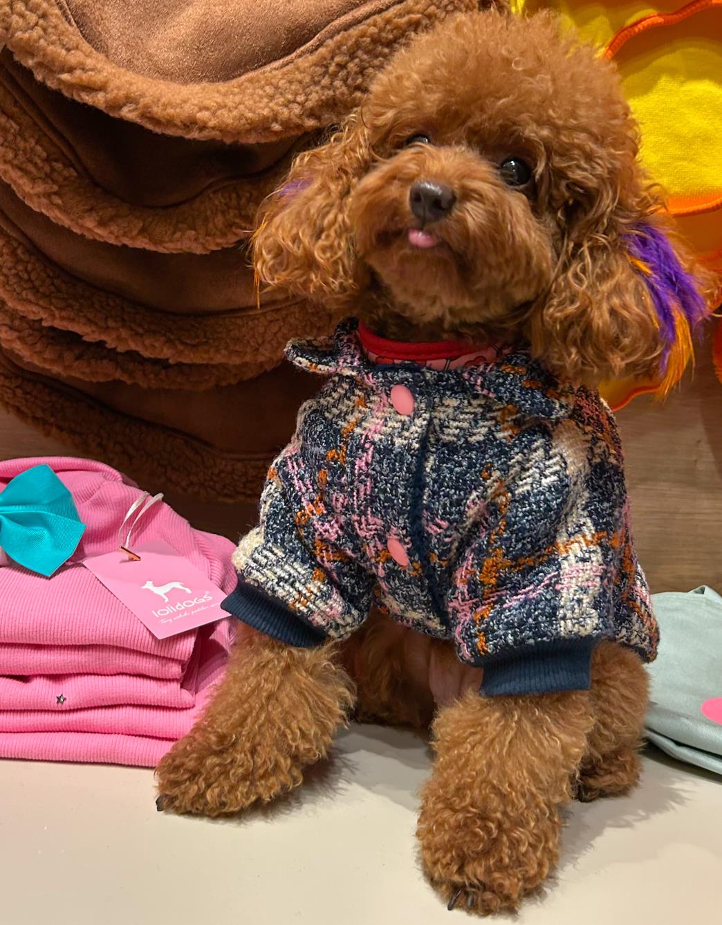 Lolidogs Köpek Montu | Midnight Tweed