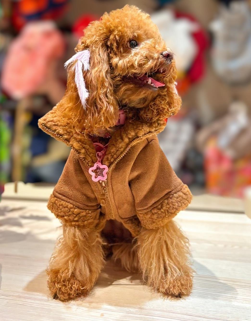 Lolidogs Süet Köpek Montu | Mocha