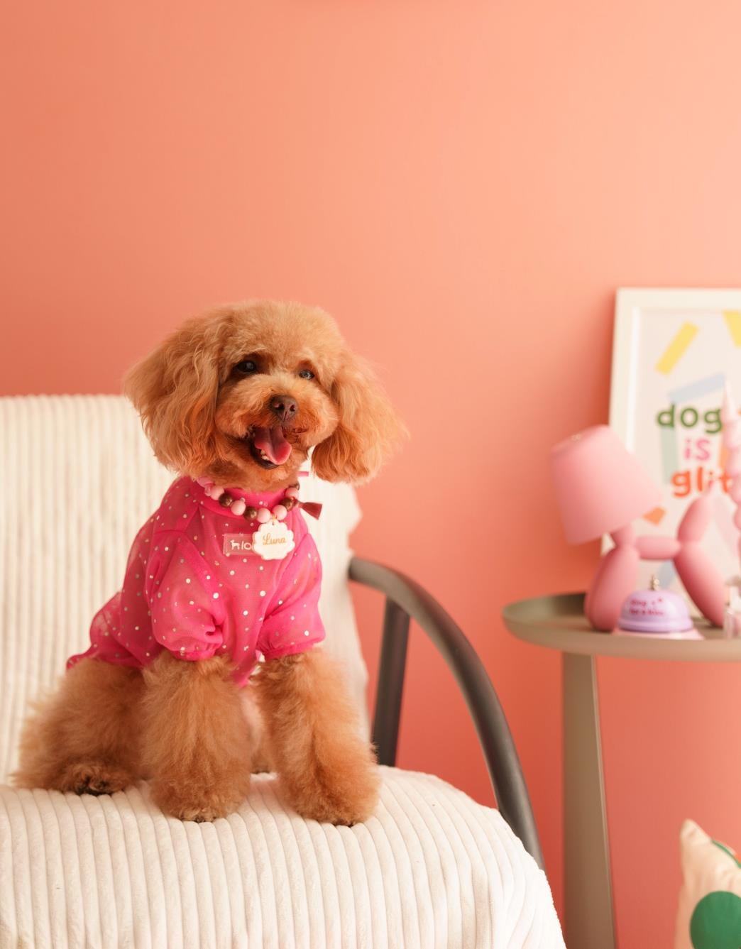 Lolidogs Işıltılı Köpek Tshirtü Princess
