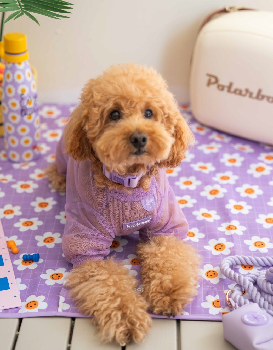 Lolidogs Köpek Tulumu |  Summer Guard Lilac