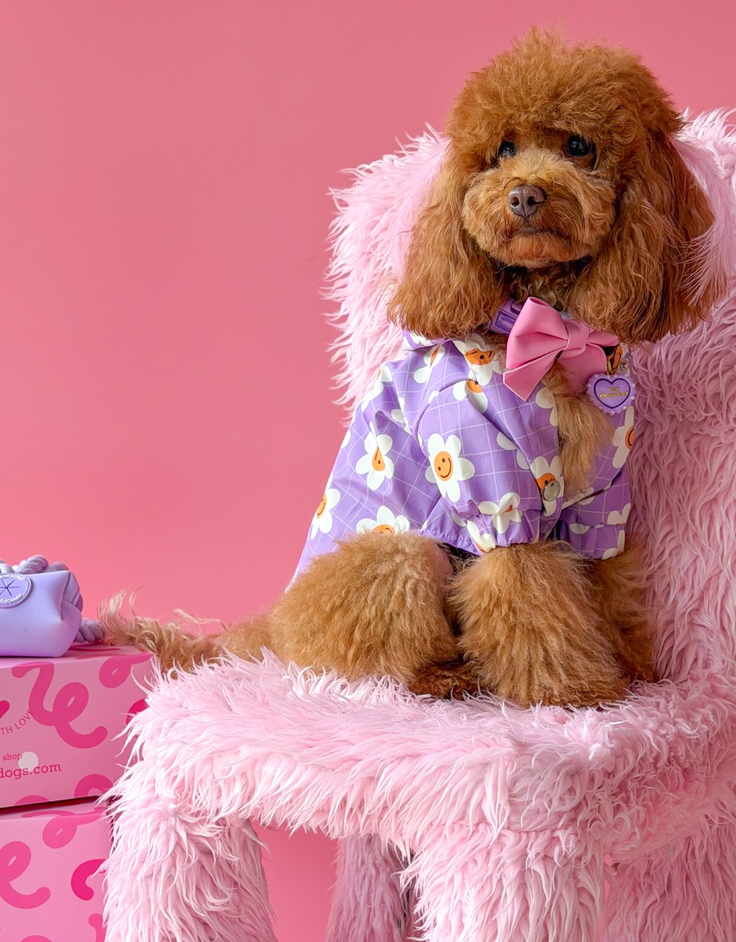 Lolidogs Köpek Yağmurluğu | Daisy