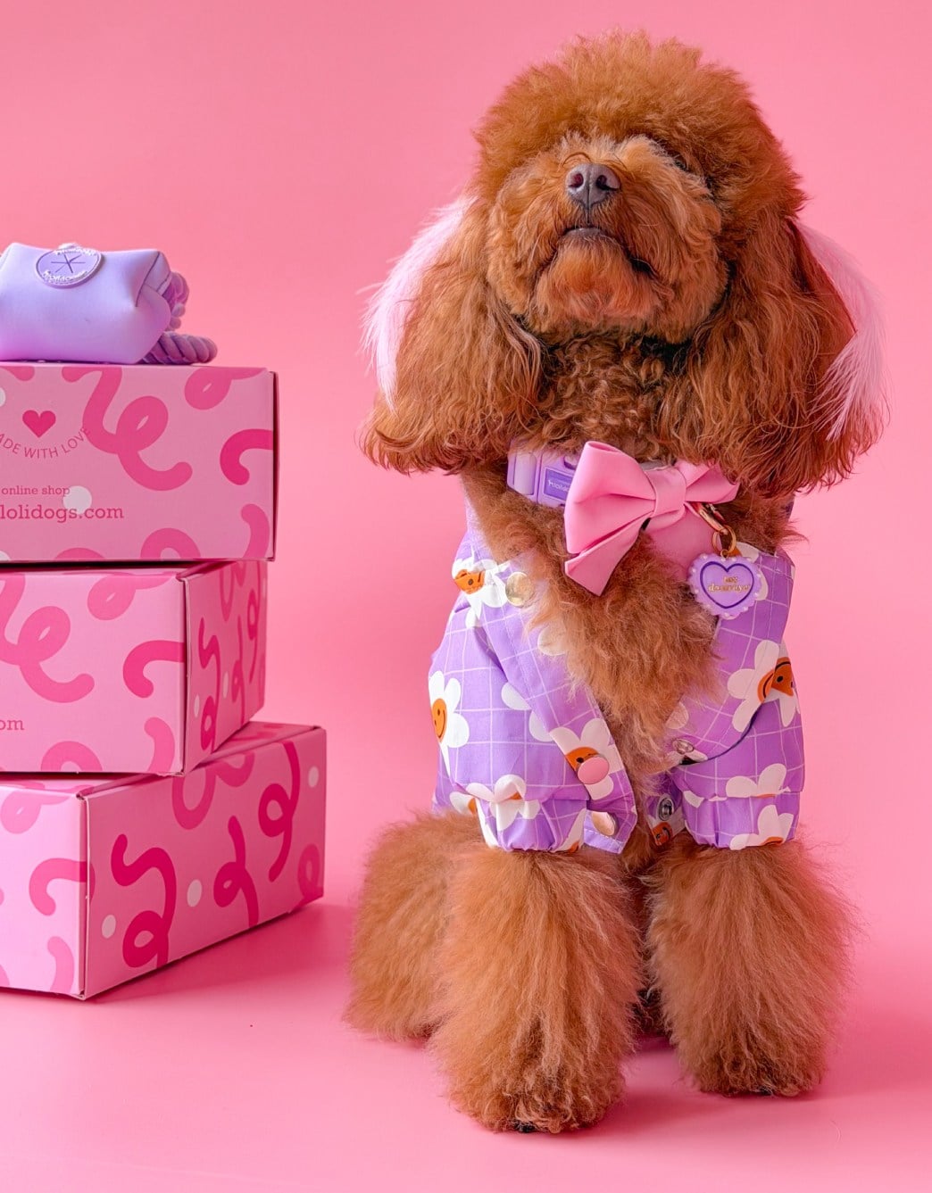 Lolidogs Köpek Yağmurluğu | Daisy