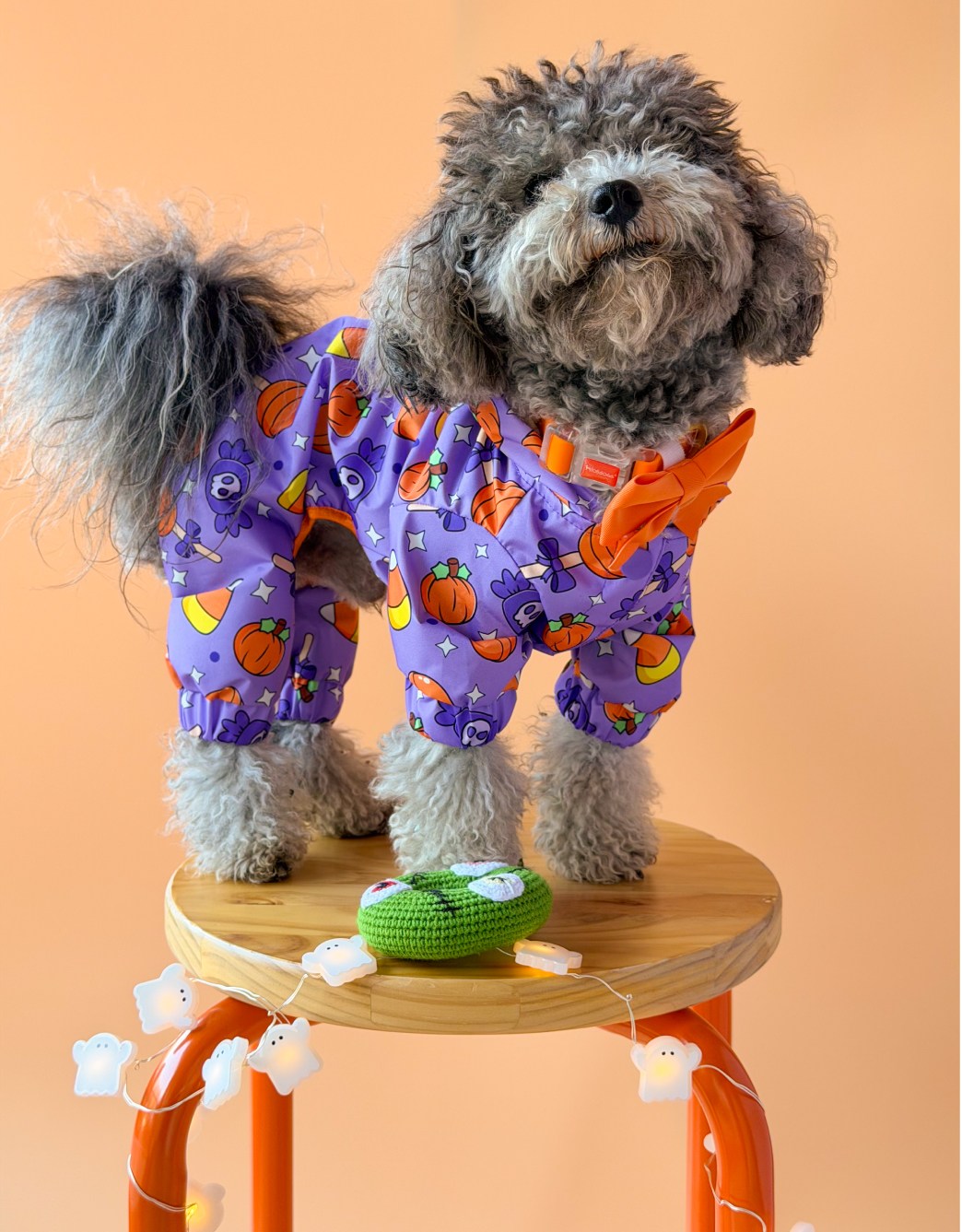 Lolidogs Tulum Köpek Yağmurluğu | Spell