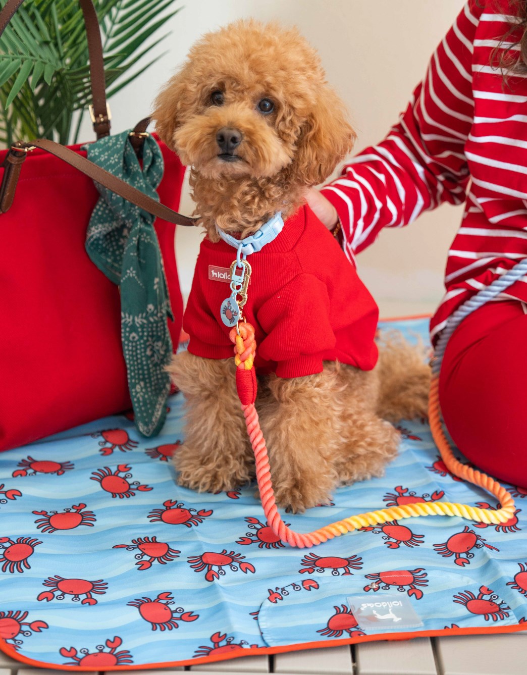 Lolidogs Köpek Travel Mat | Crabby