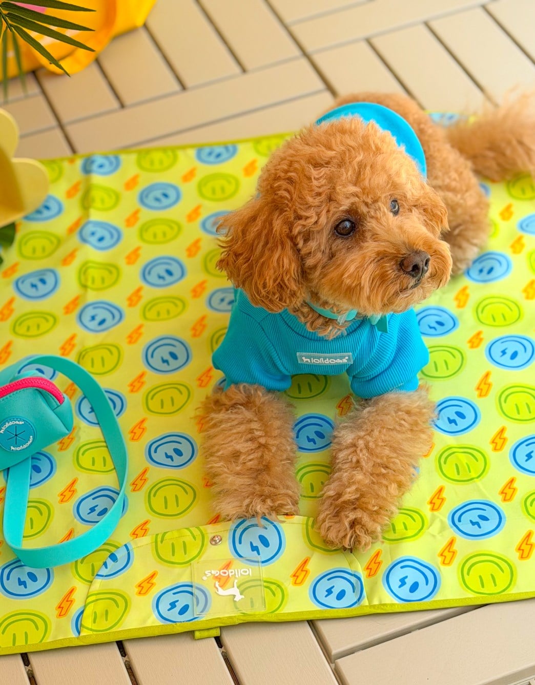 Lolidogs Köpek Travel Mat | Smiley