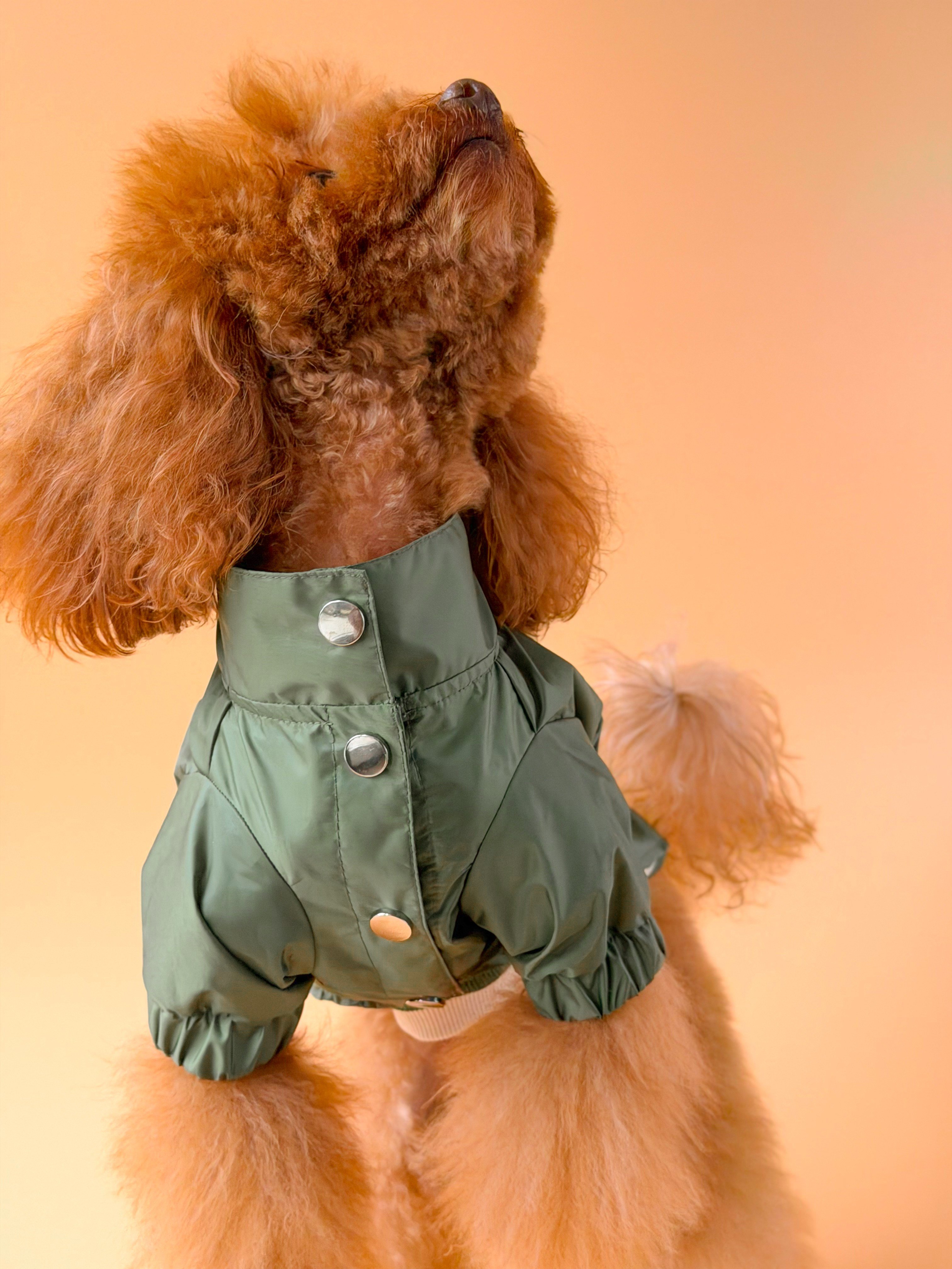 Zoë Pet Atelier × Lolidogs | Yağmurluk Army