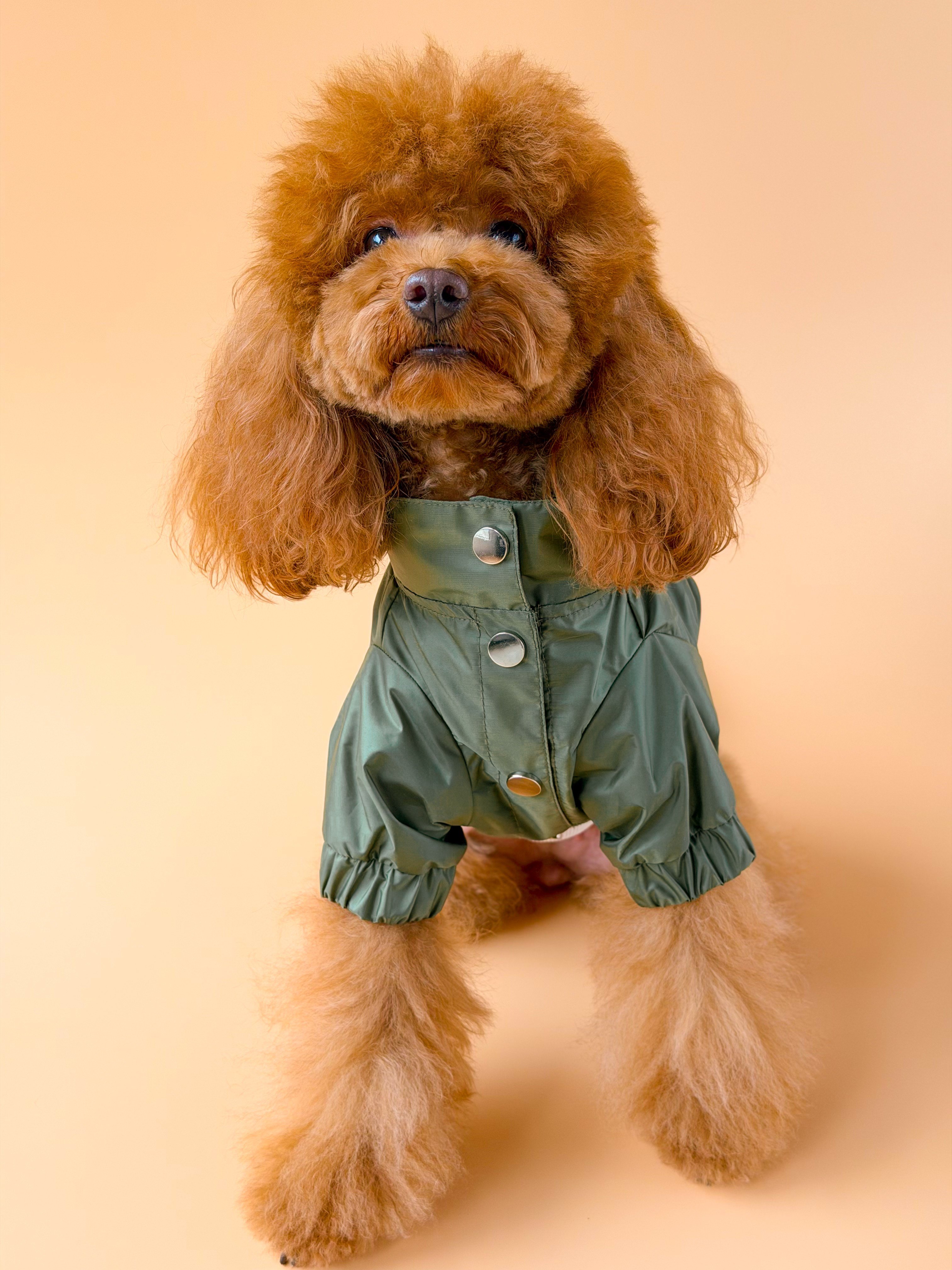 Zoë Pet Atelier × Lolidogs | Yağmurluk Army
