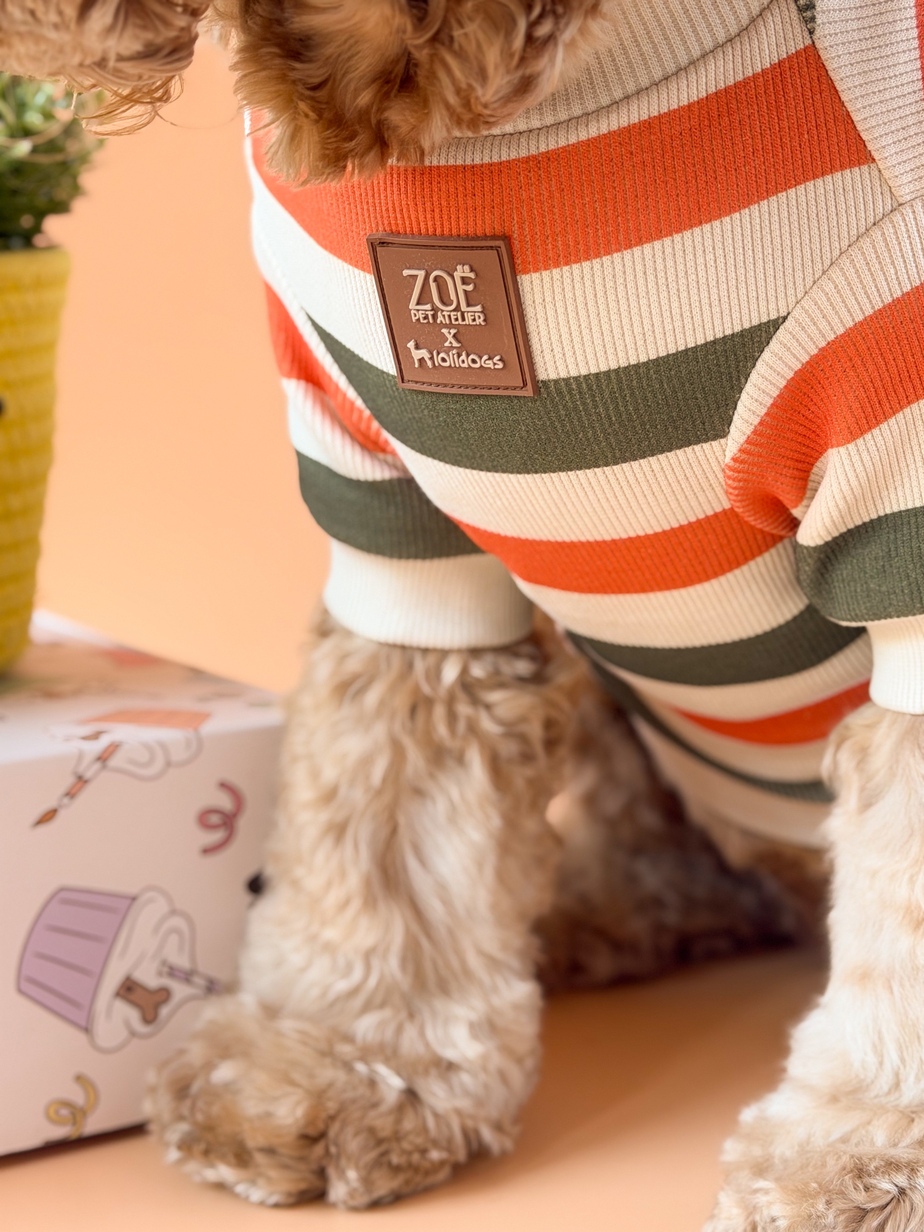 Zoë Pet Atelier × Lolidogs | Basic Stripe Army
