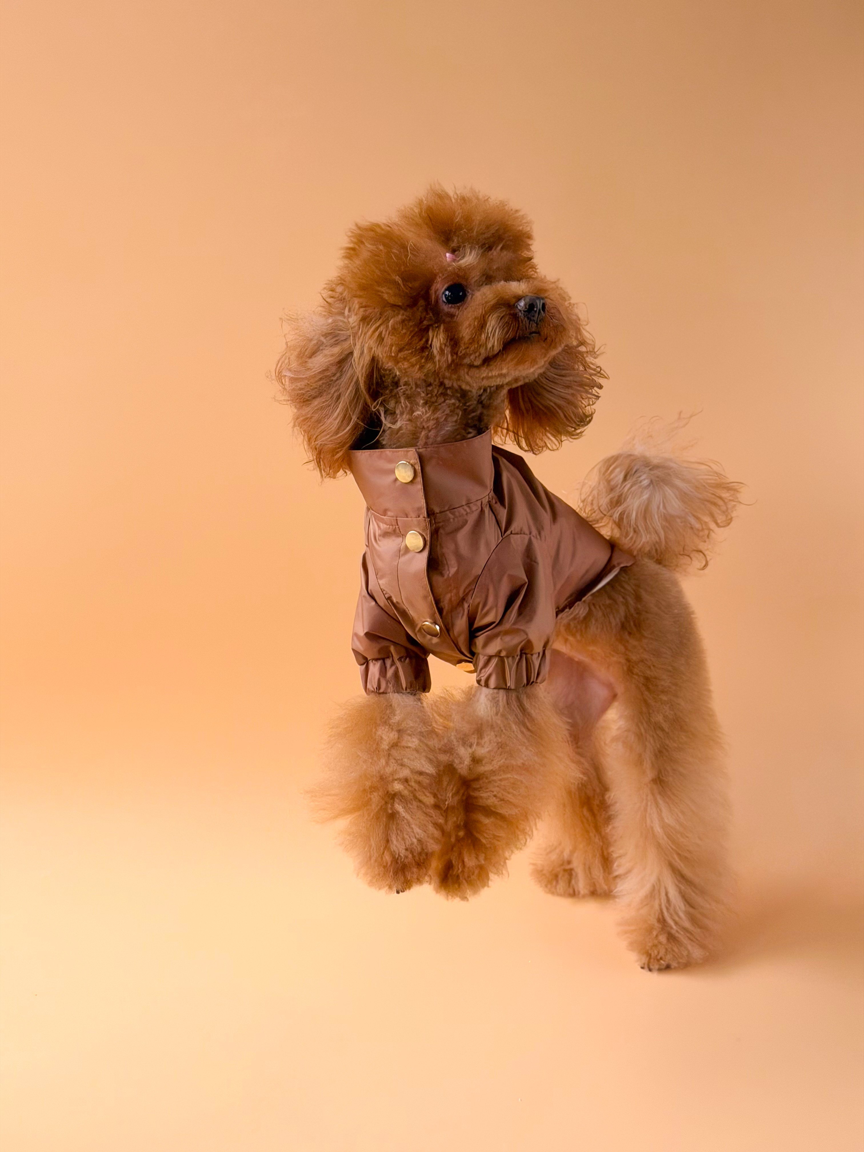 Zoë Pet Atelier × Lolidogs | Yağmurluk Caramel