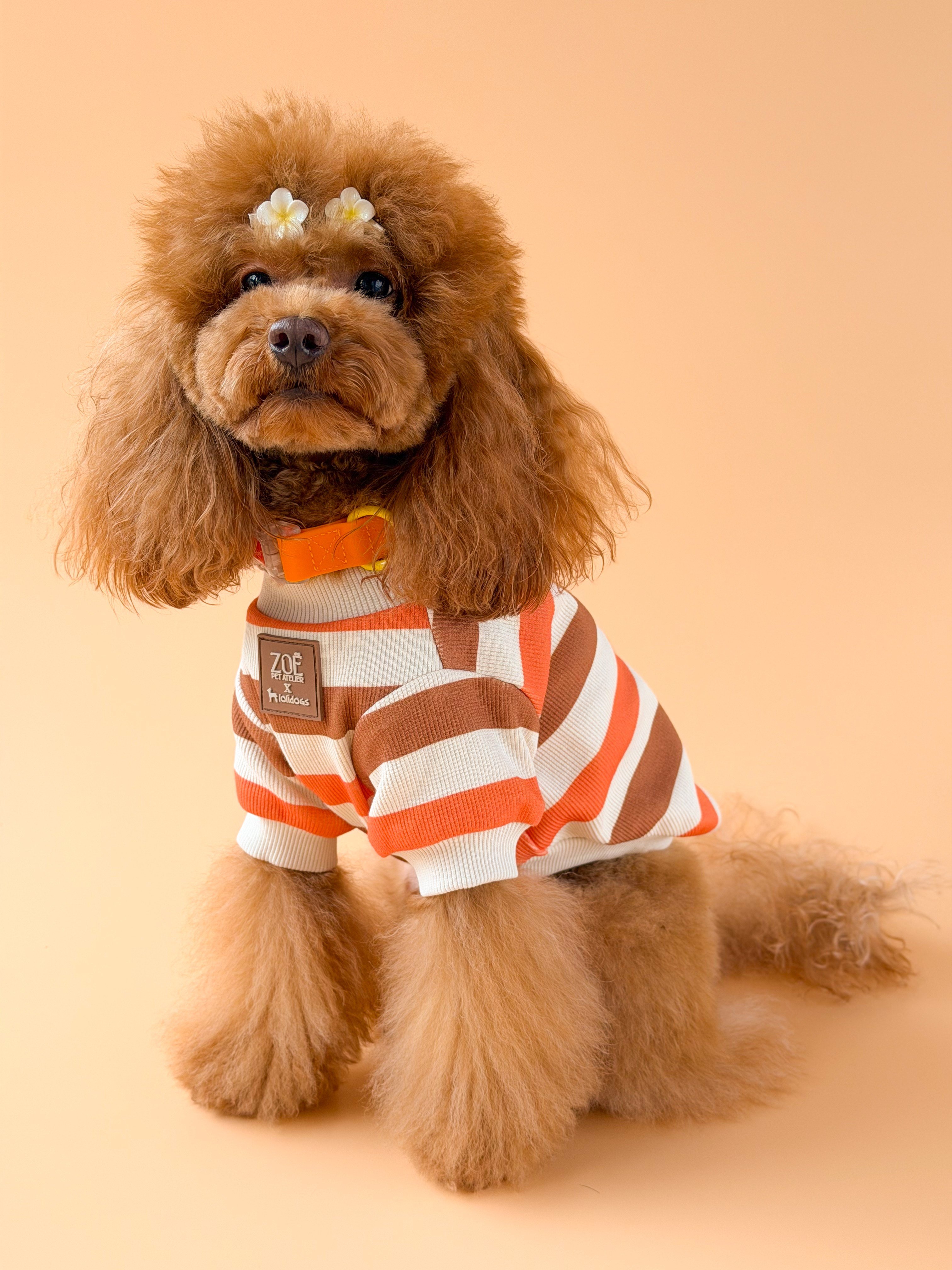 Zoë Pet Atelier × Lolidogs | Basic Stripe Caramel