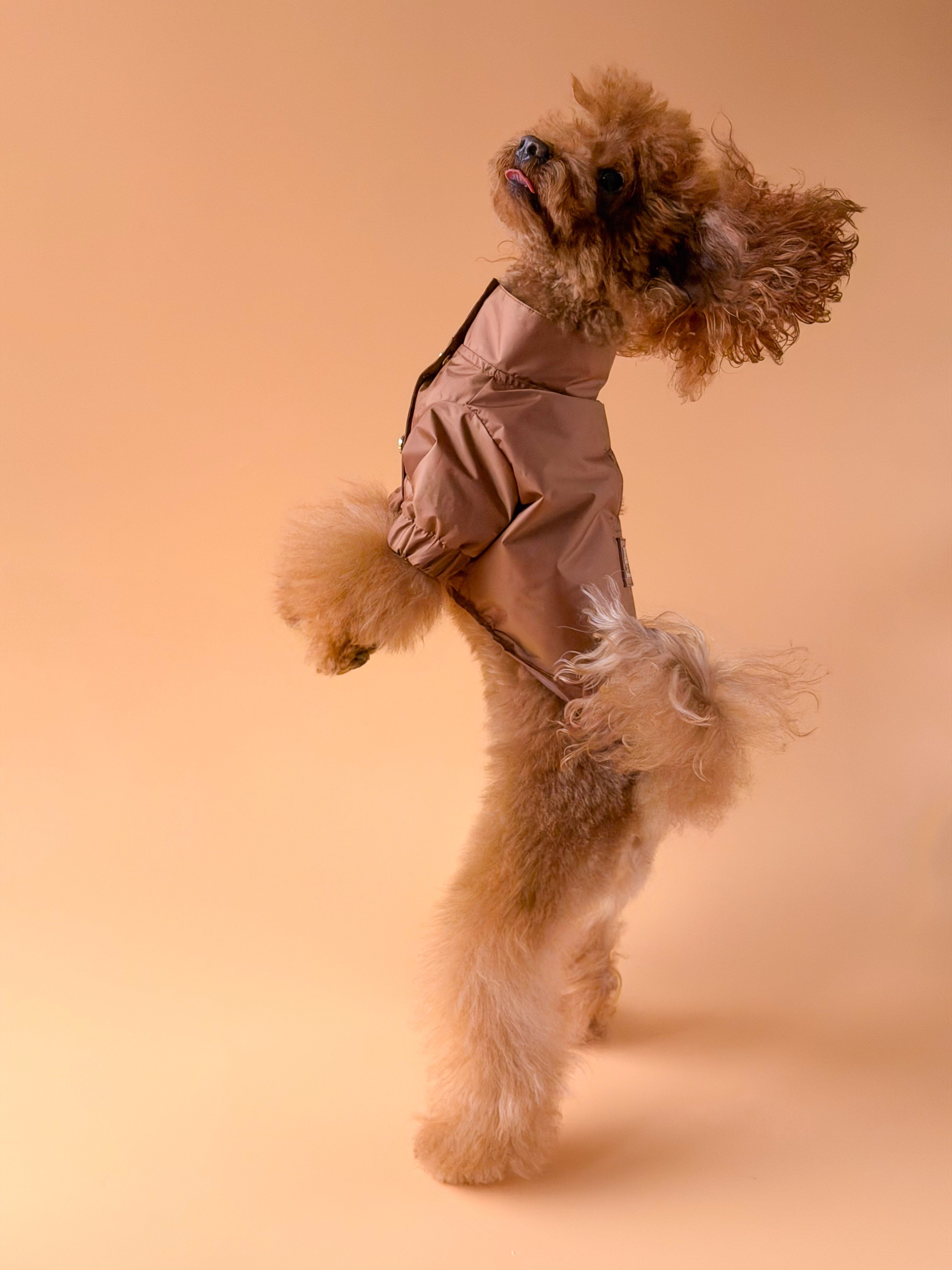 Zoë Pet Atelier × Lolidogs | Yağmurluk Caramel