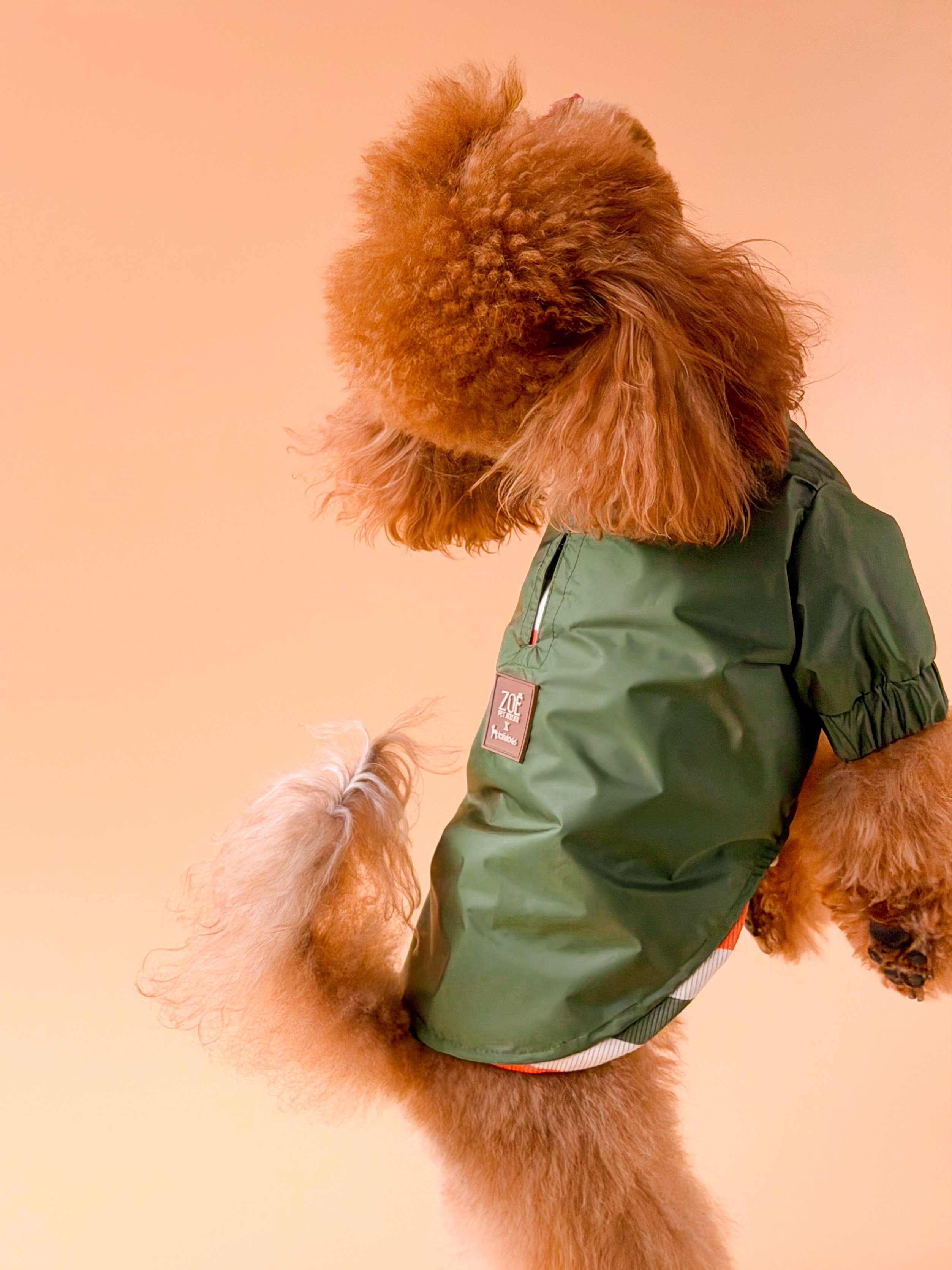 Zoë Pet Atelier × Lolidogs | Yağmurluk Army