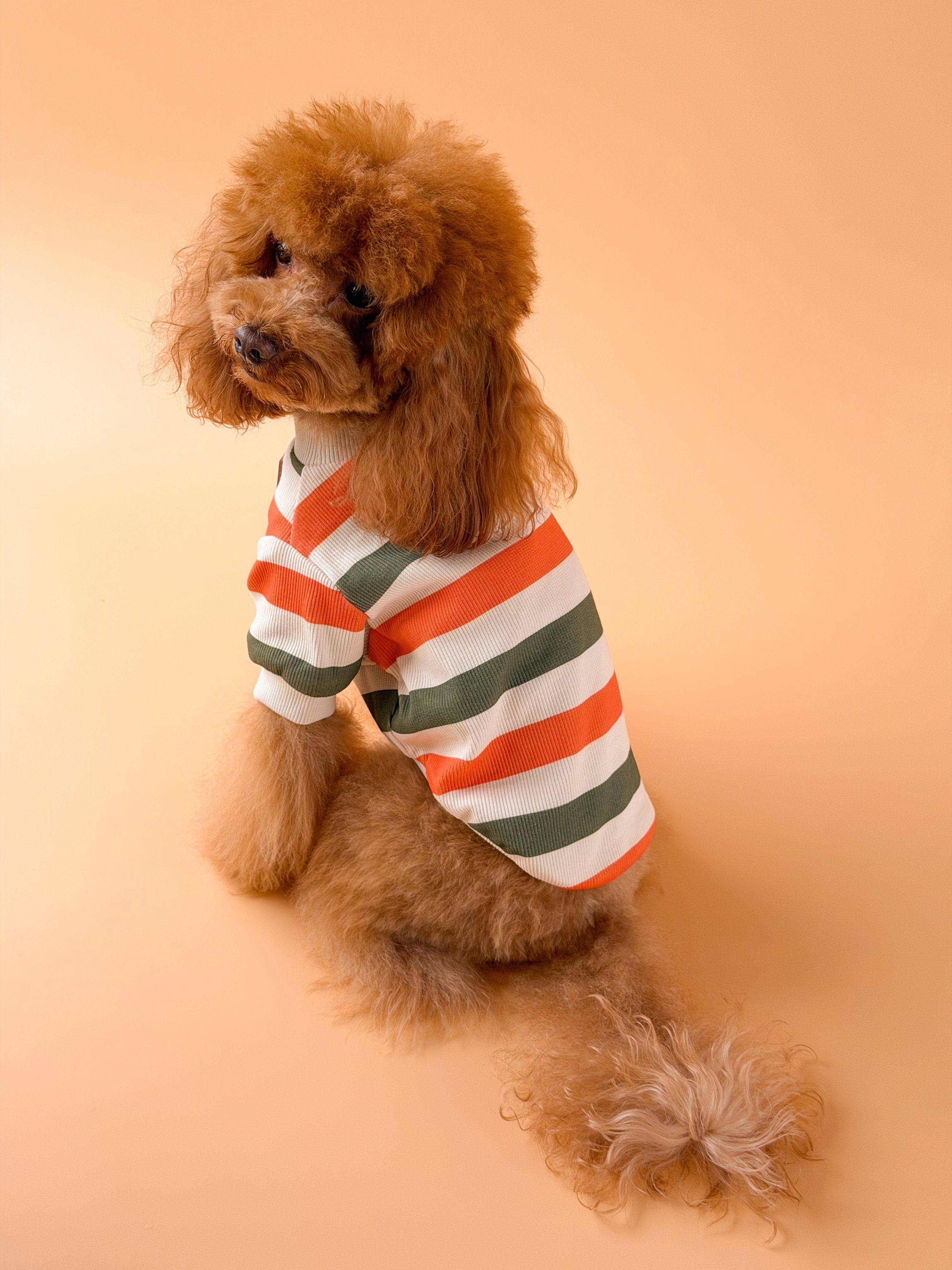 Zoë Pet Atelier × Lolidogs | Basic Stripe Army