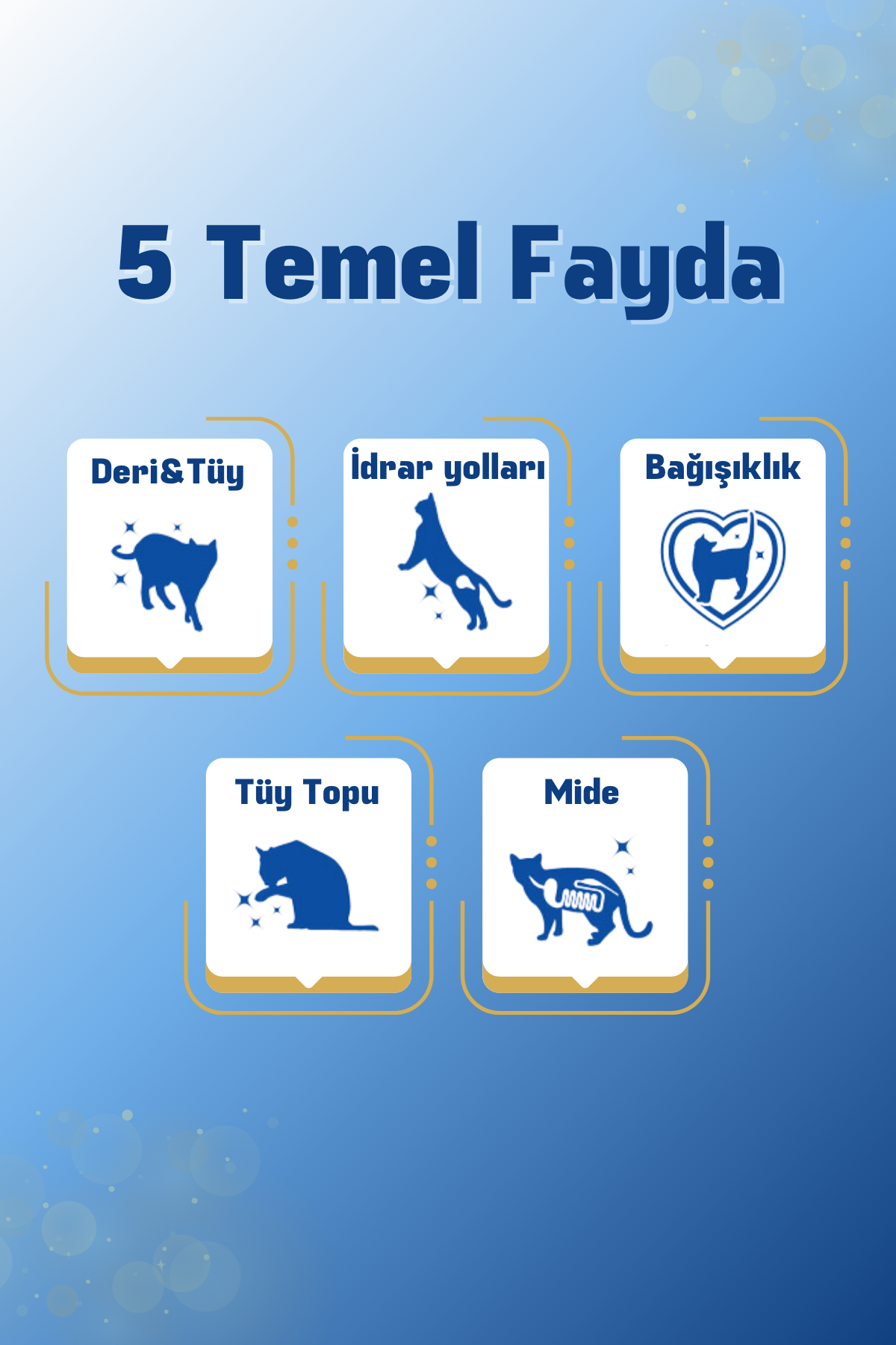 AIM30 Kedilerin Böbrek Sağlığının Korunmasına Katkıda Bulunan Toz Gıda Takviyesi
