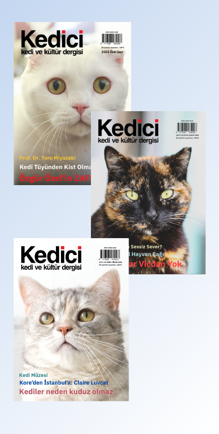 Kedici Kedi ve Kültür Dergisi 3 Sayı Bir Arada Özel Sayı, 30. Sayı ve 31. Sayı