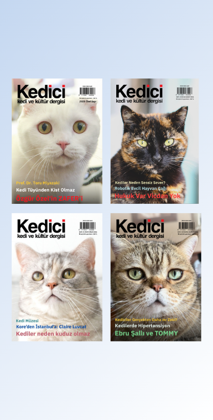 Kedici Kedi ve Kültür Dergisi 4 Sayı Bir Arada Özel Sayı, 30. Sayı, 31. Sayı ve 32. Sayı