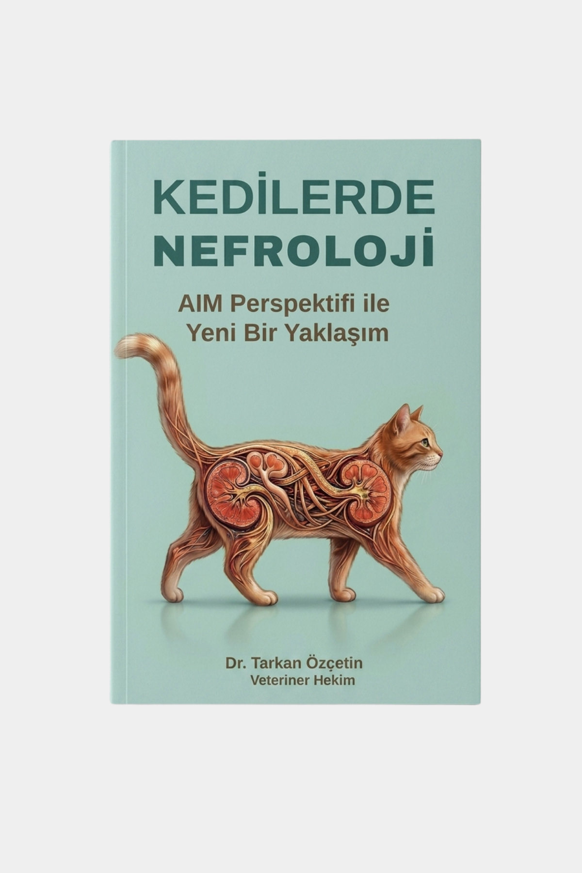 Kedilerde Nefroloji AIM Perspektifi ile Yeni Bir Yaklaşım