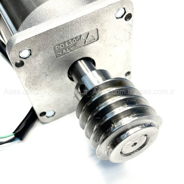 NiceSPMTG09200Nice ROX600 İç Motor ve Salyangoz Dişli