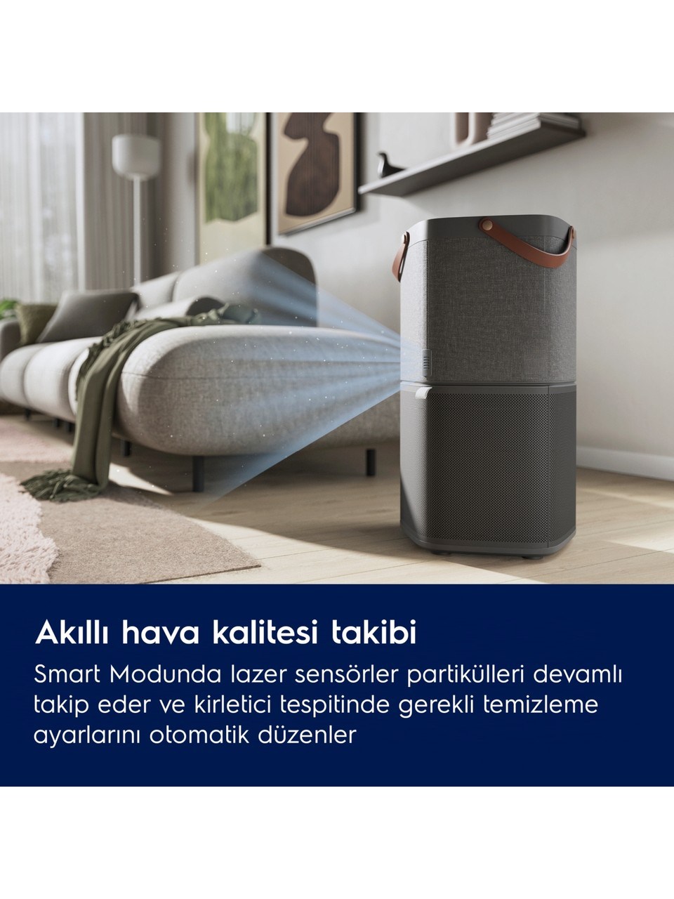 Electrolux EPO60571DG Hava Temizleyici