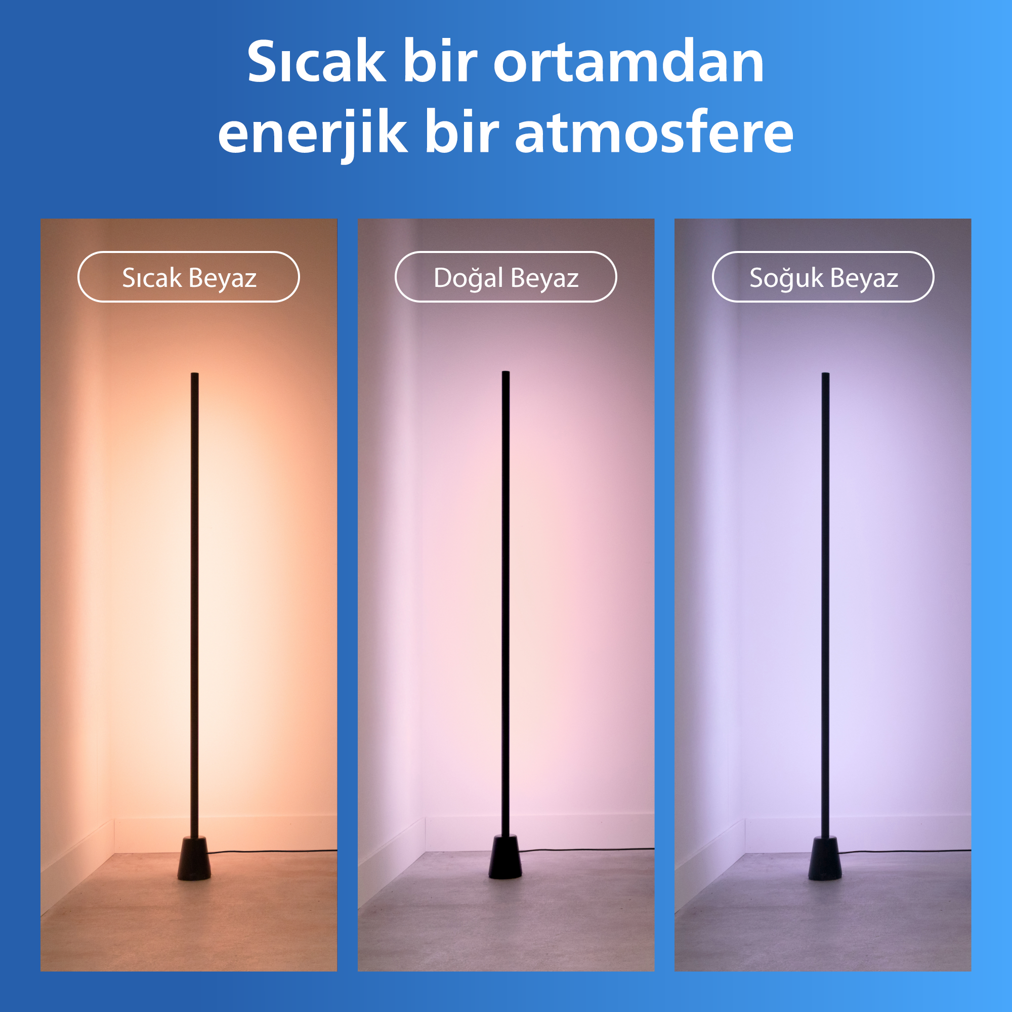 Philips Smart Lighting RGBIC Lambader 1,4 metre - Google Home, Alexa, HomeKit ve Matter uyumlu