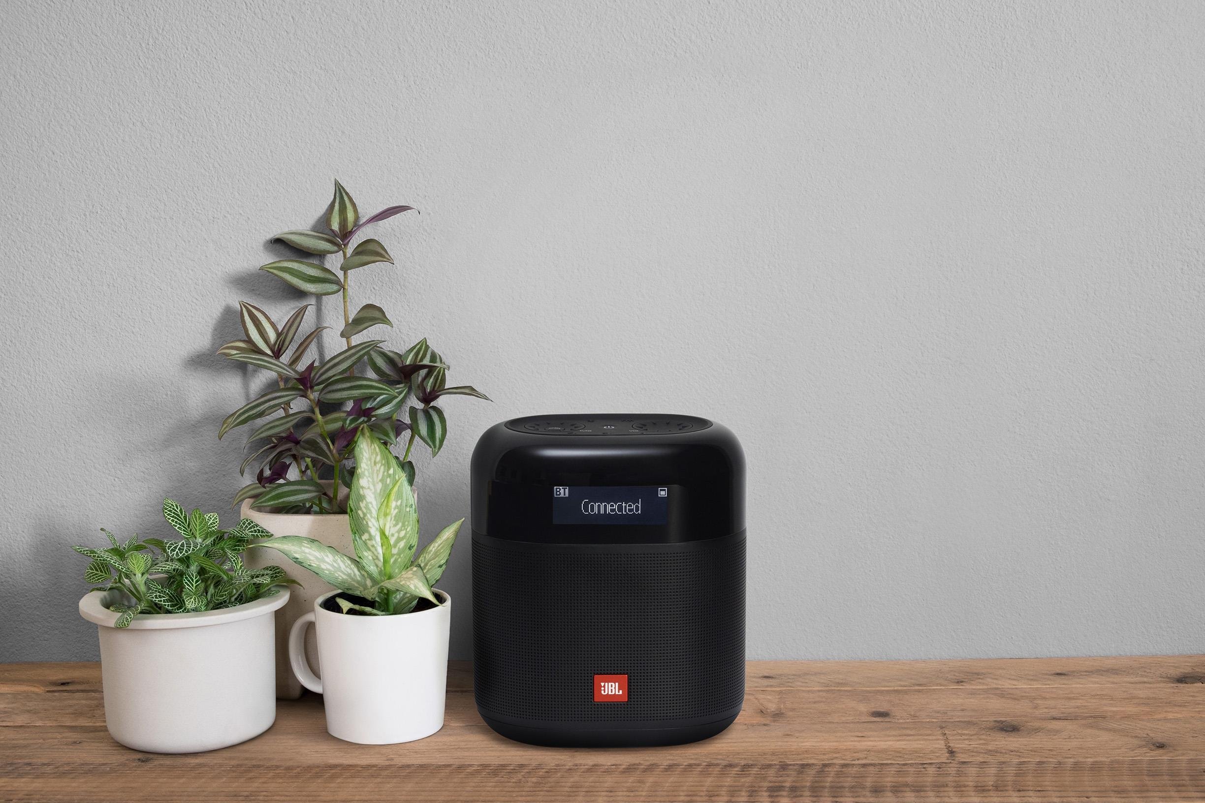 JBL TunerXL BT Hoparlör,DAB-FM Radyo,IPX7,Siyah,Eco