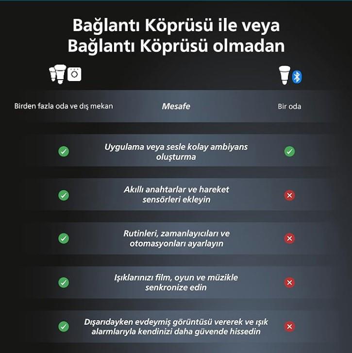 Philips Hue Bridge Bağlantı Köprüsü