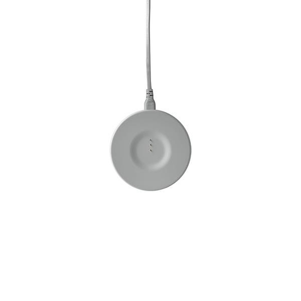 Harman Kardon Citation 200 Bluetooth, Smart Taşınabilir Hoparlör - Gri 