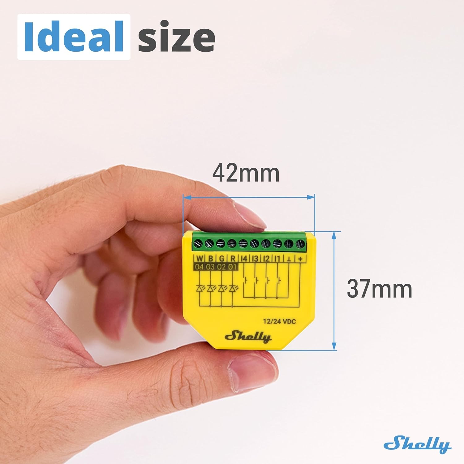 Shelly Plus RGBW PM x2