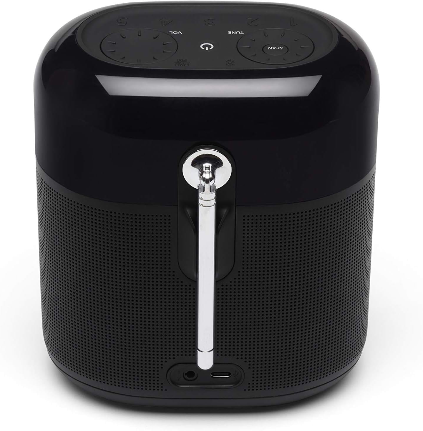 JBL TunerXL Bluetooth Hoparlör,DAB-FM Radyo,IPX7,Siyah