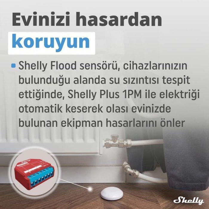 Shelly Flood Su Baskını ve Sıcaklık Sensörü