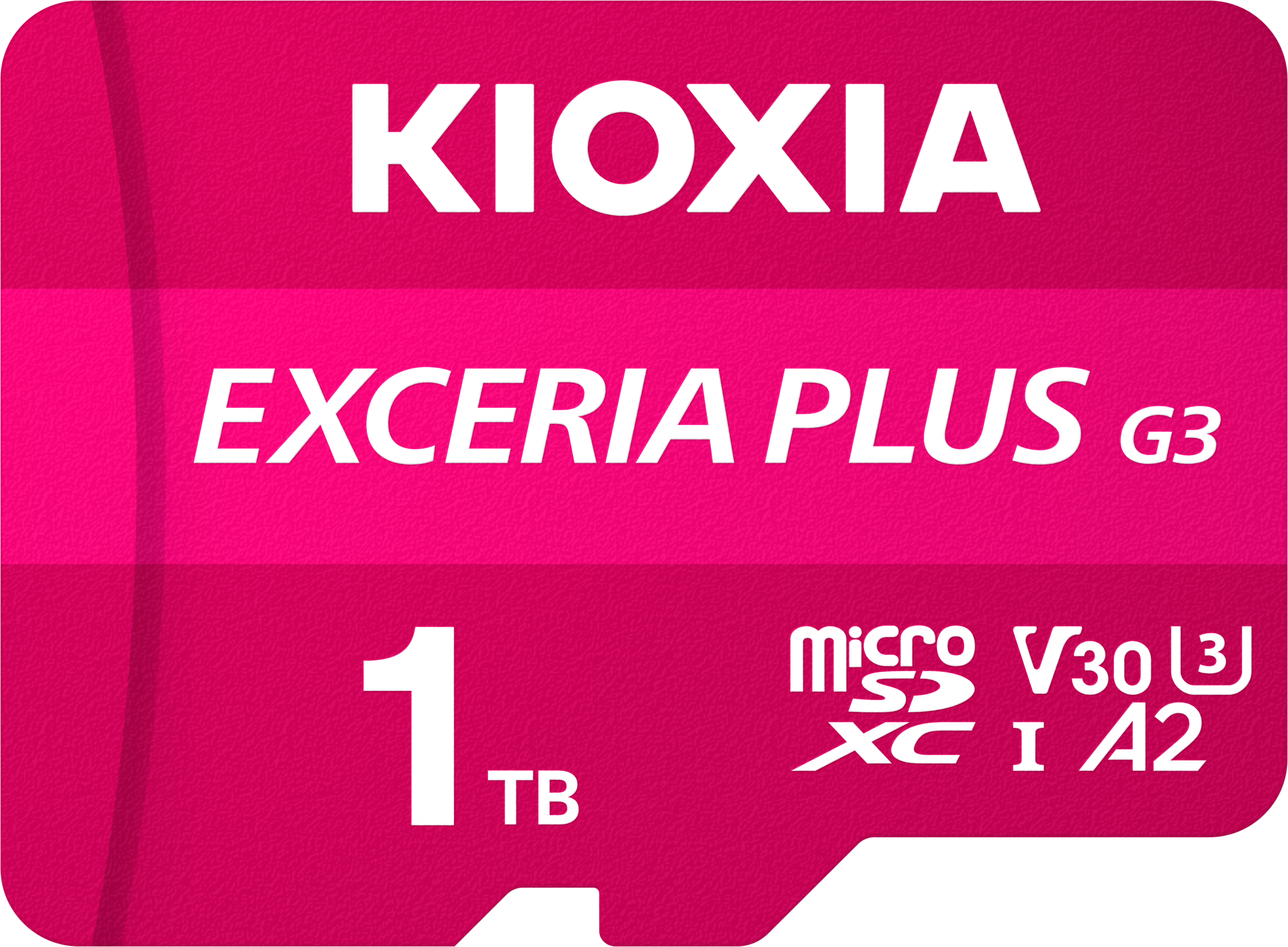 Kioxia Exceria Plus G3 1TB V30 U3 4K MicroSD Hafıza Kartı 210/150MB/s LMPL3M256GG2