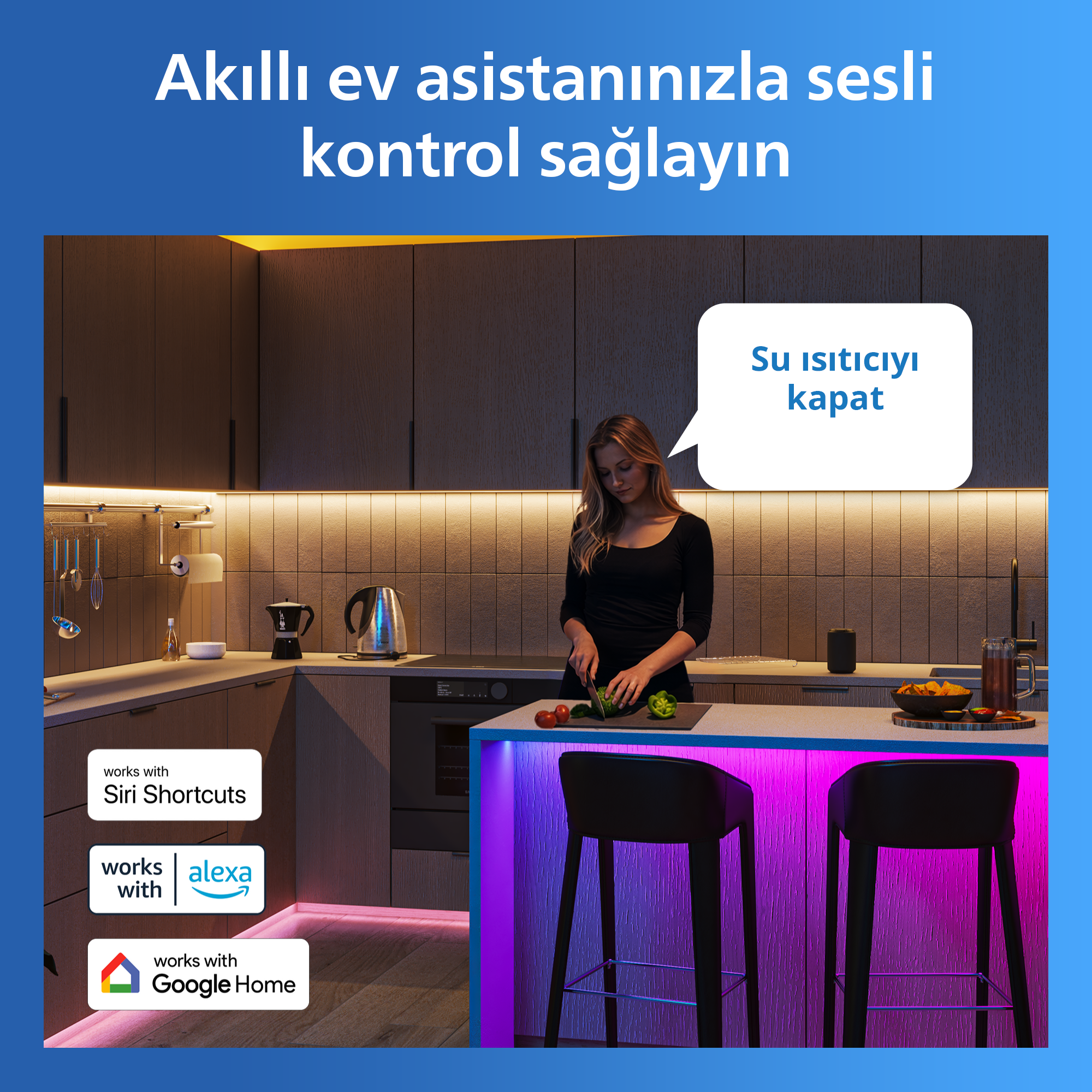 Philips Smart Lighting Akıllı Priz Matter (Type-F) - Google Home, Alexa, HomeKit ve Matter uyumlu