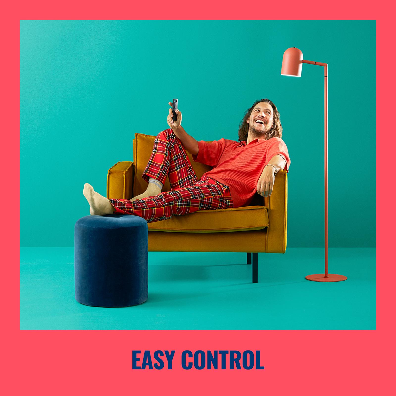 WIZ Uzaktan Kumanda (pil Dahildir) - 929002426802