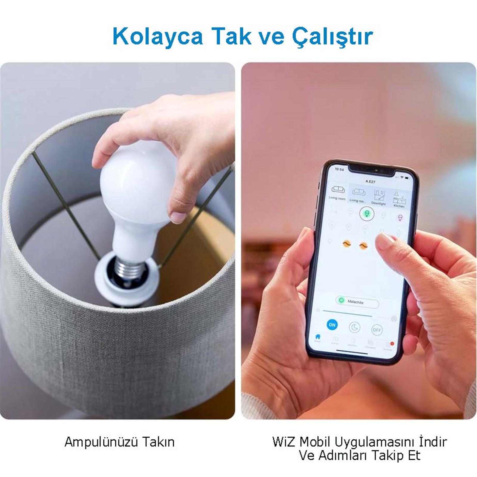 WIZ Wi-fi Ble 100w A67 E27 922-65 Rgb 1pg/6 9290024497