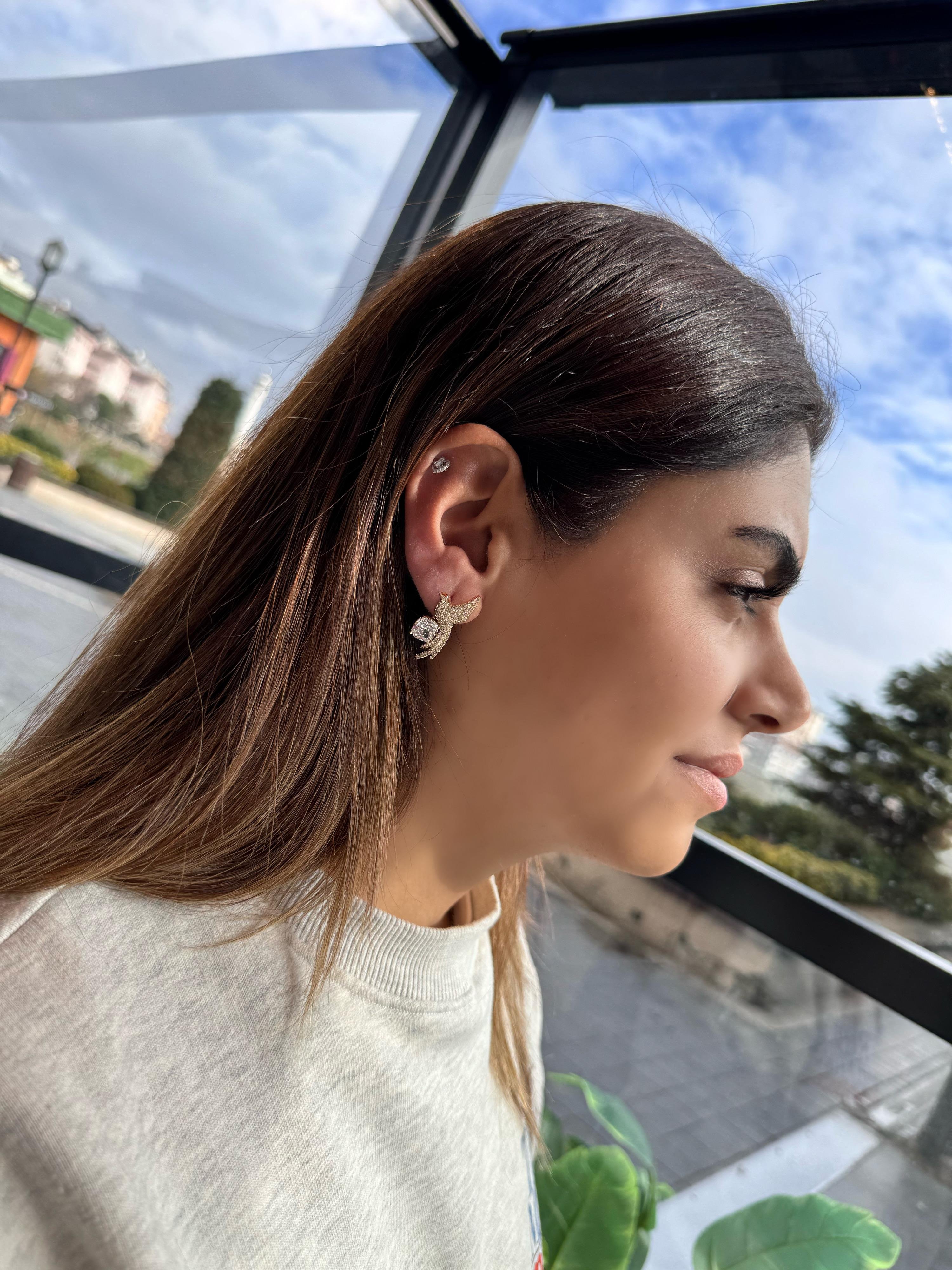 Özel Seri anka kuşu küpe