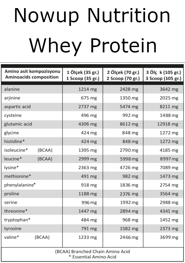 Nowup Nutrition Whey Protein Tozu 36 gr x 30 Adet Saşe